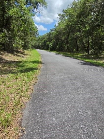 Land at 8355 N ORTON WAY, DUNNELLON, photo 7 of 13
