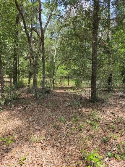 Land at 8355 N ORTON WAY, DUNNELLON, photo 8 of 13