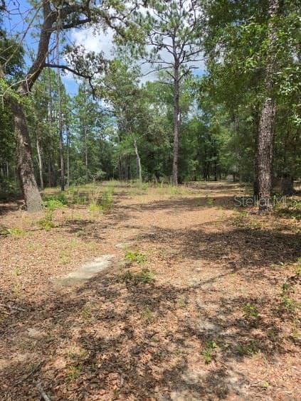 Land at 8355 N ORTON WAY, DUNNELLON, photo 9 of 13