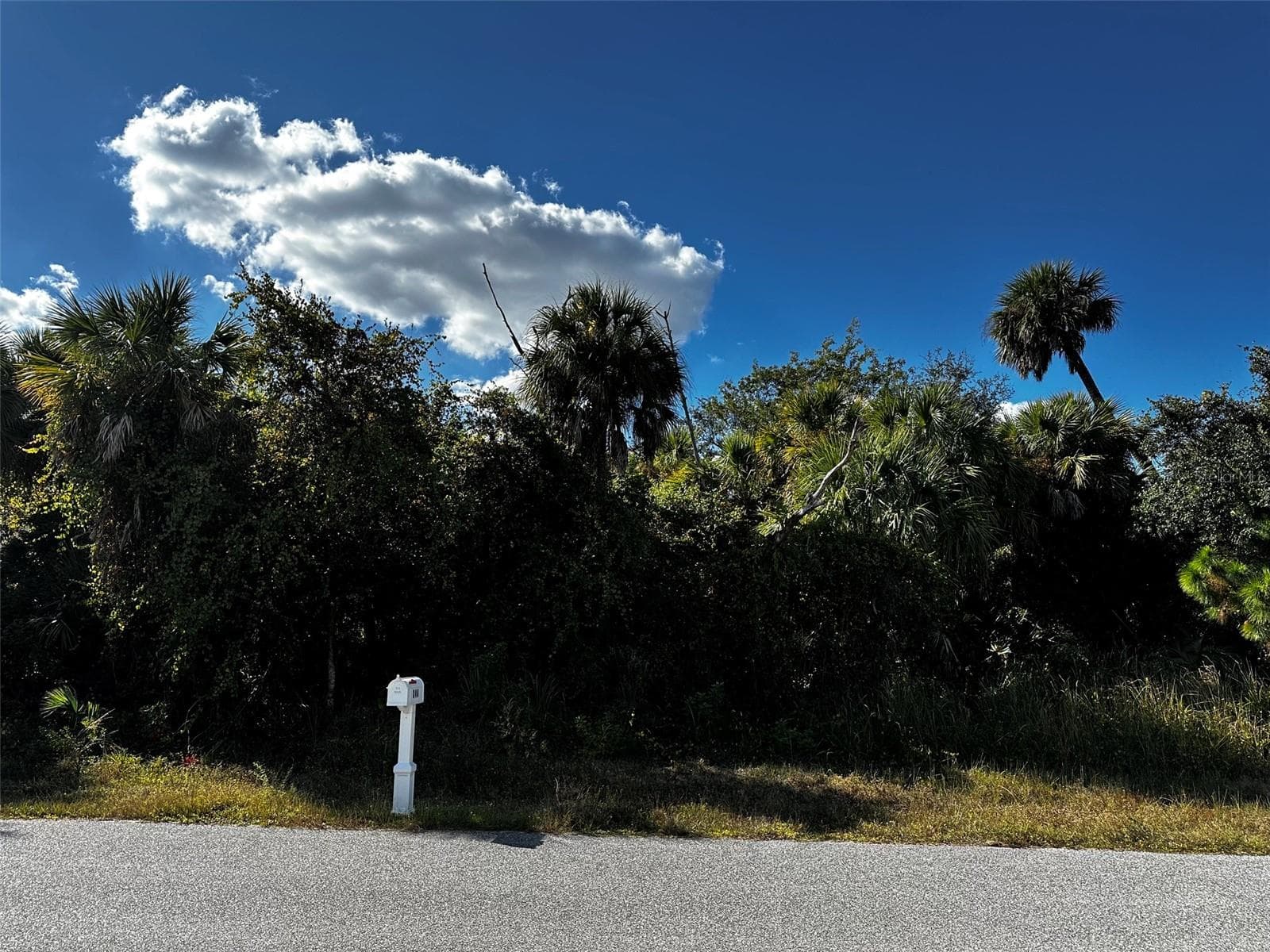 Land at 347 TROUTDALE ST, PORT CHARLOTTE, photo 2 of 3
