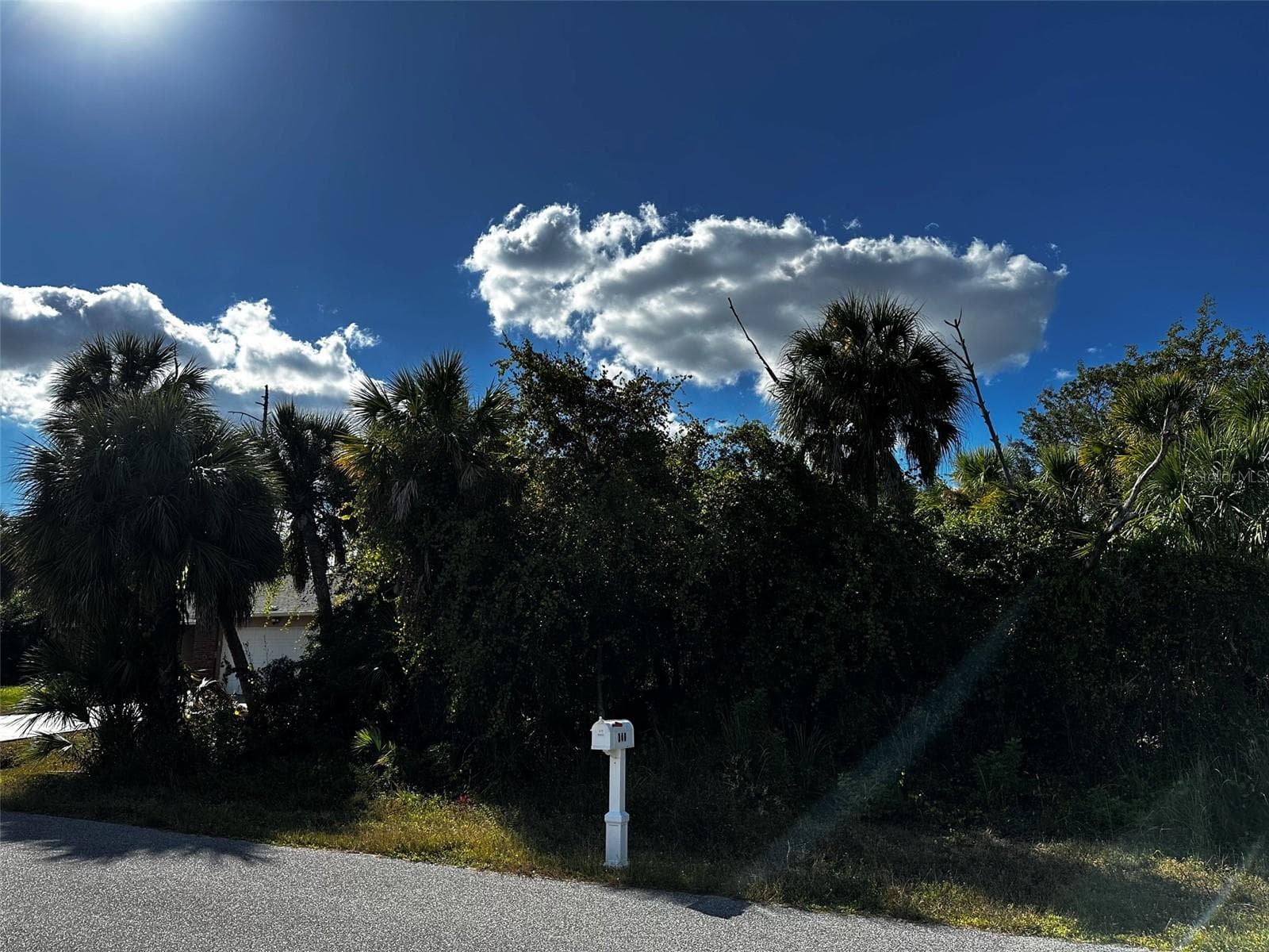 Land at 347 TROUTDALE ST, PORT CHARLOTTE, photo 3 of 3