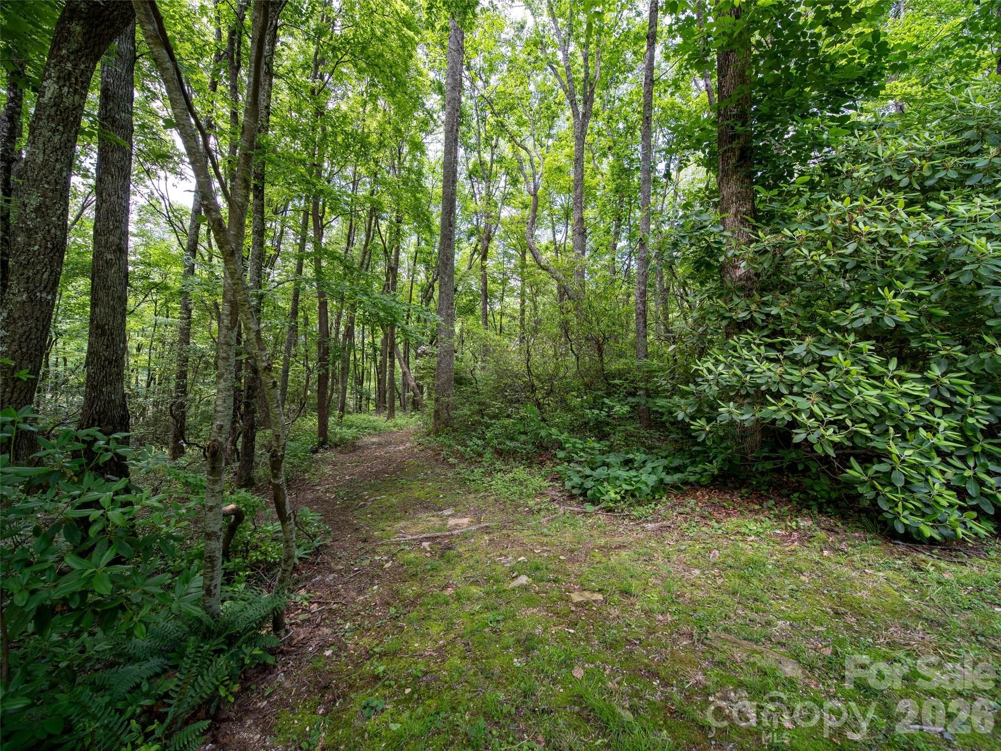 Lush Tree Canopies and Year Round Greenery Hug this Level, Build Friendly Homesite ~ - Hendersonville
