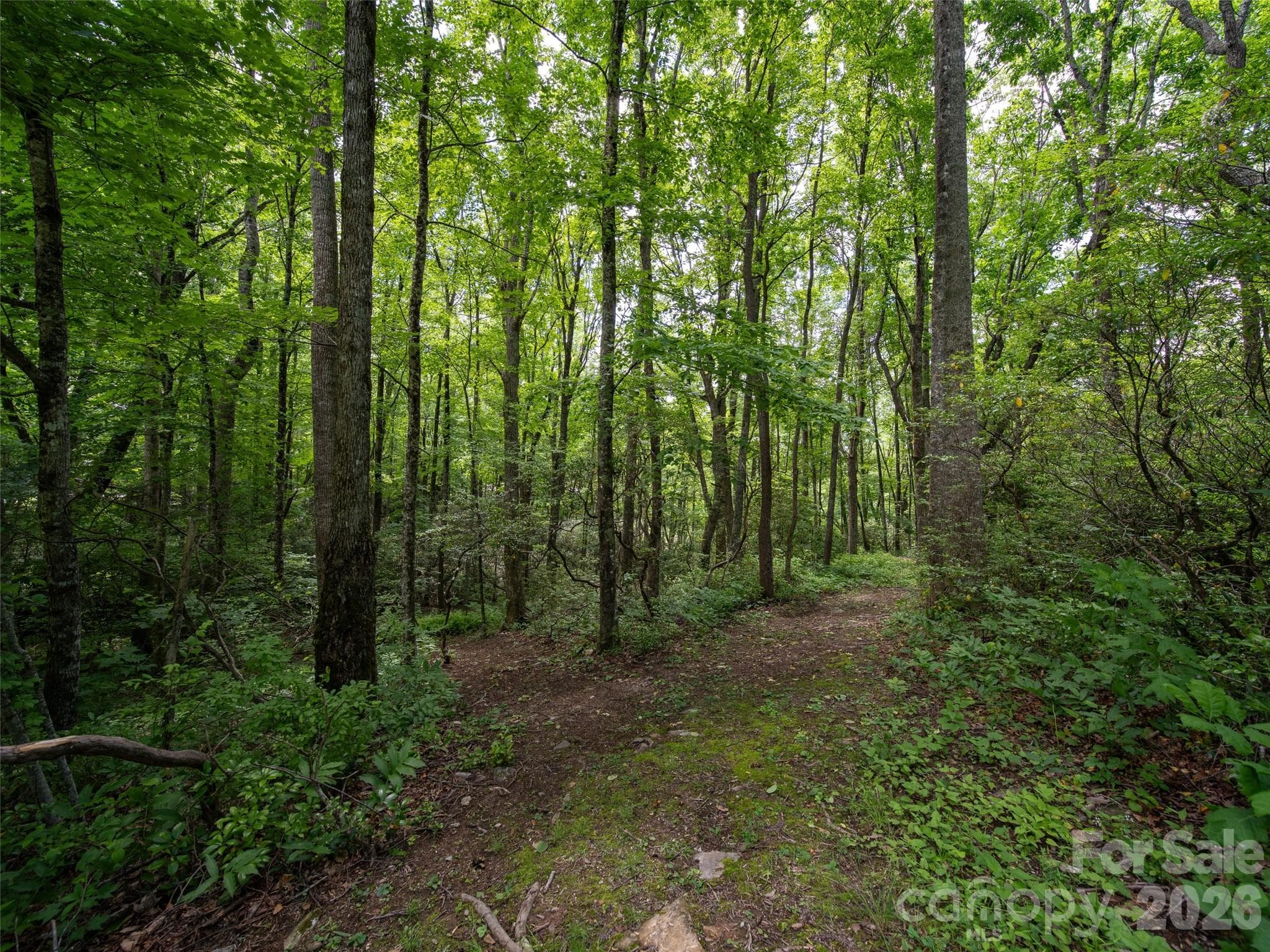 Almost perfectly Pie Shaped, This Luscious Deep Dish, 1.06 Acre Site Can Accommodate a Multitude of Home Styles Including the Ever Popular Single Level / Ranch Style! - Hendersonville