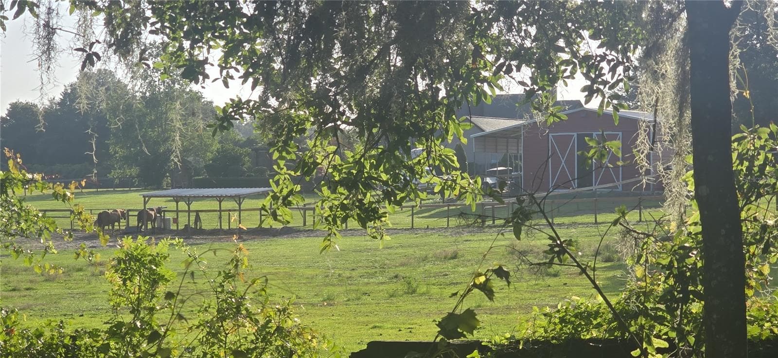 View from the back yard. - 9715 SW 30TH TER, OCALA