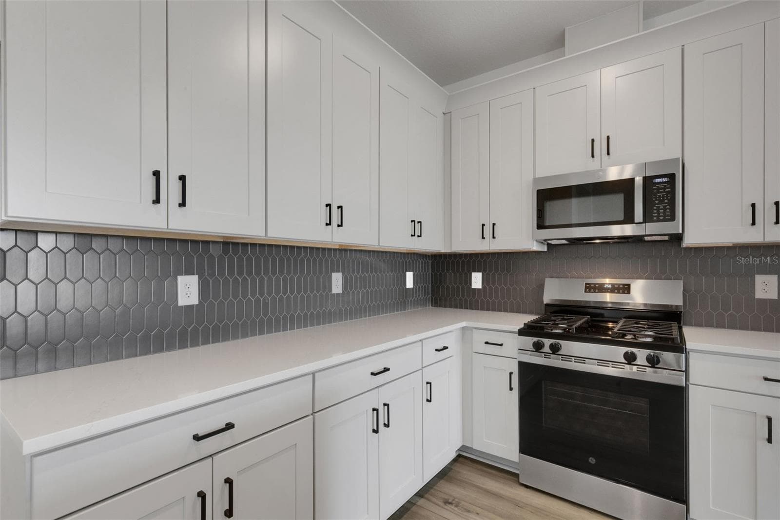 Single Family Residence at 8717 CANARD CV, PALMETTO, photo 9 of 47