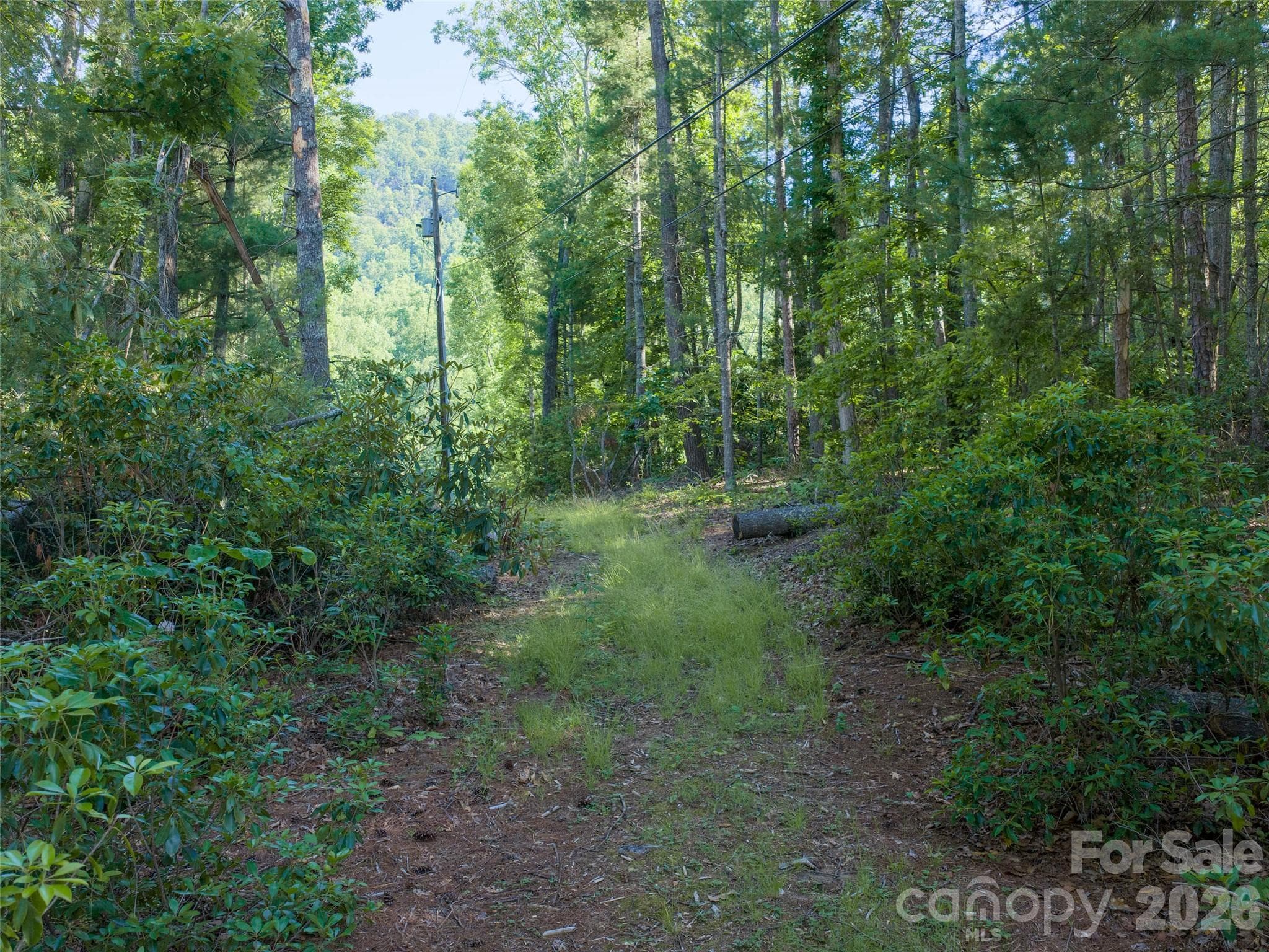 Lot at Fletcher, photo 4 of 5