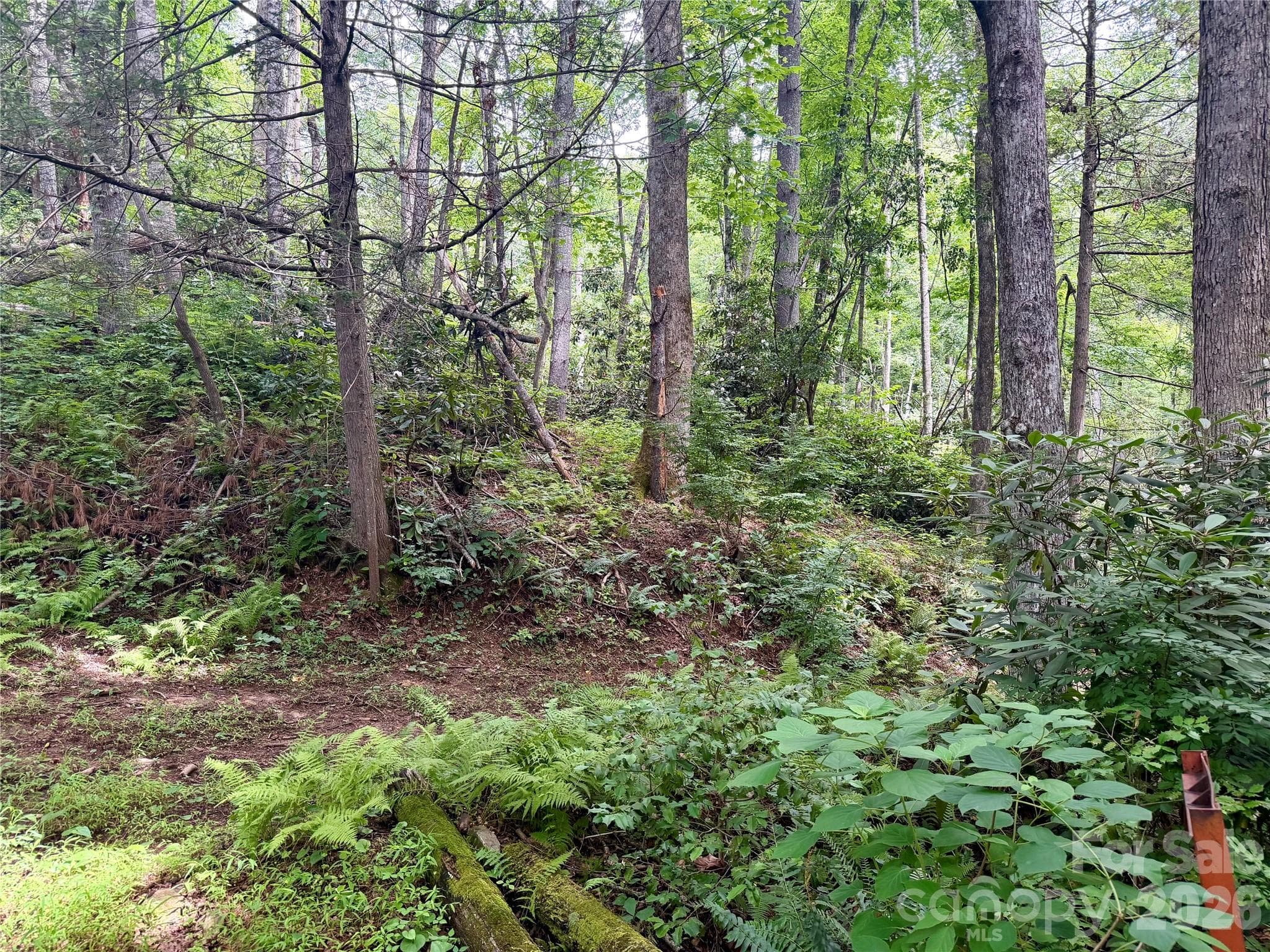 Potential Build Site - 106 Flora Lina Drive, Brevard