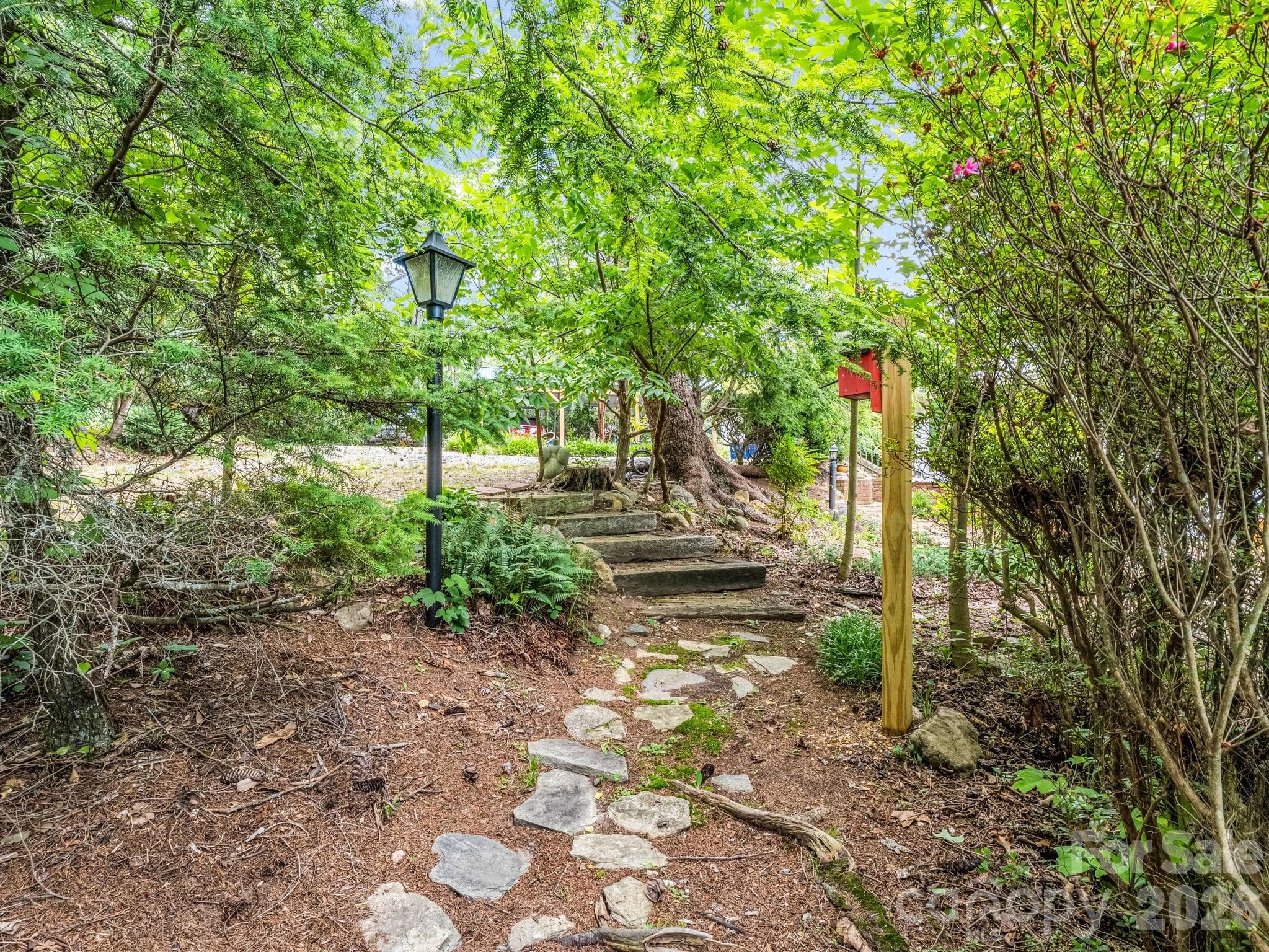 Established Pathways - 23 Sunset Drive, Black Mountain