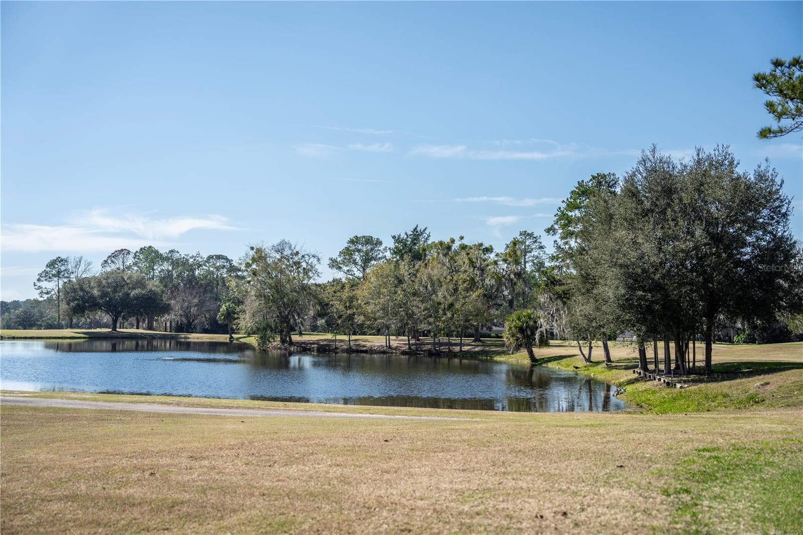 Single Family Residence at 11774 NW 60TH DR, ALACHUA, photo 25 of 26