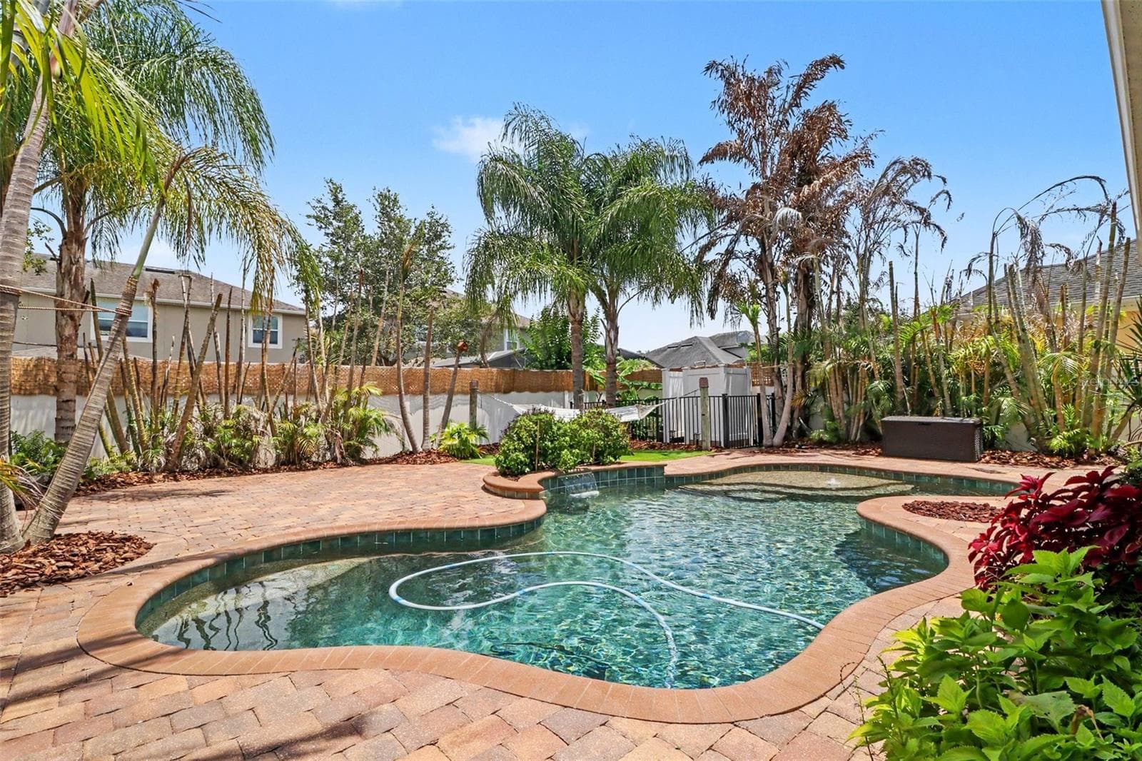 Lush Tropical Freeform Saltwater Pool - 10651 LANGEFIELD ST, ORLANDO