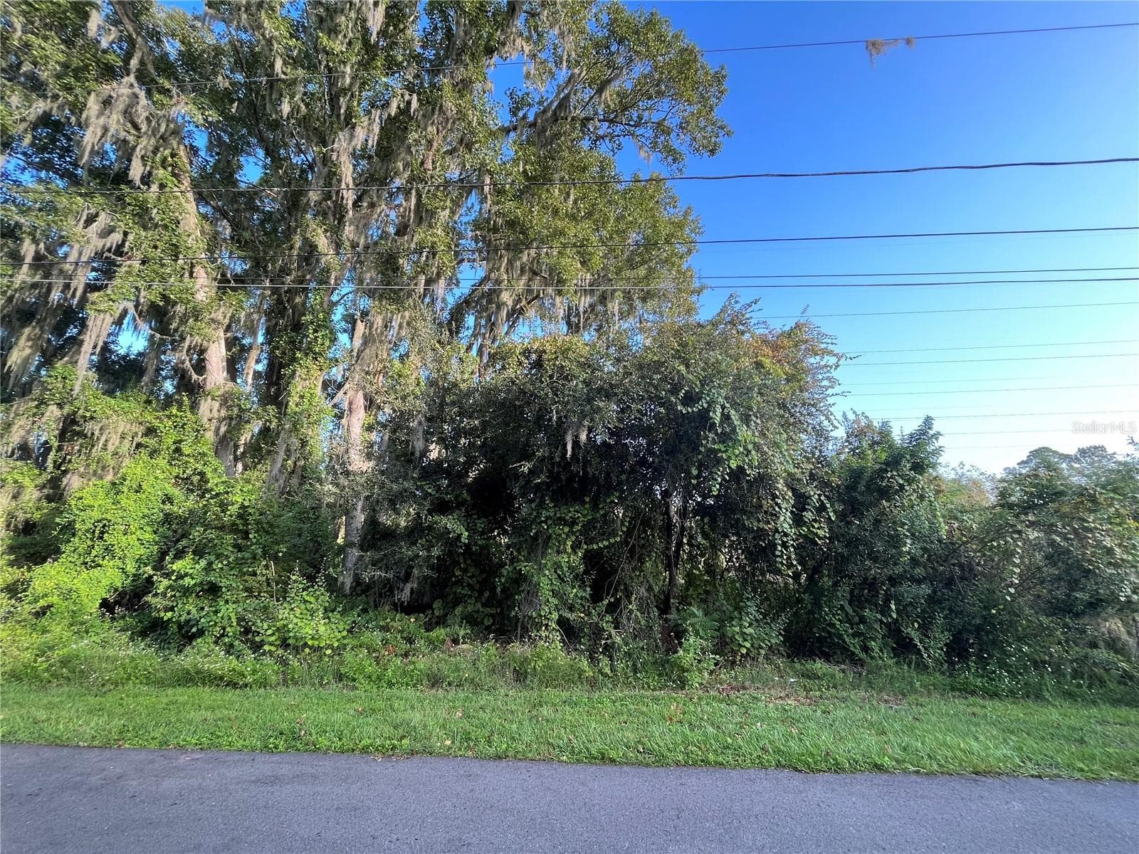 Land at 268 TOMS RD, DEBARY, photo 2 of 8