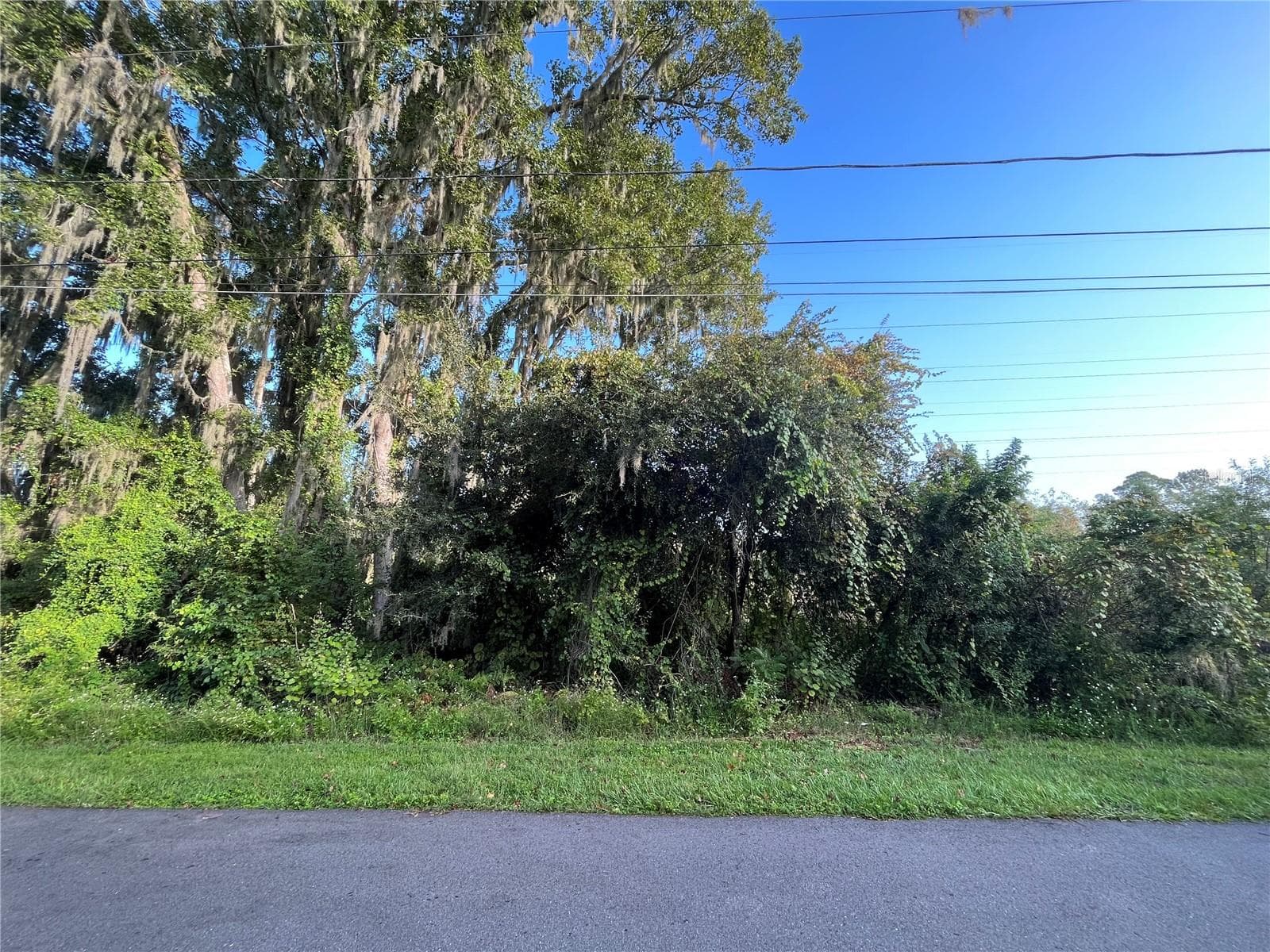 270 TOMS RD