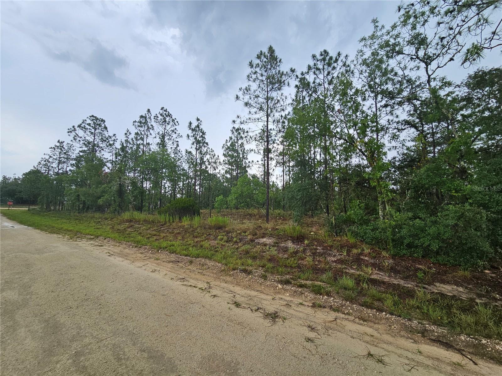 Land at 231 SE 146TH TER, WILLISTON, photo 4 of 5