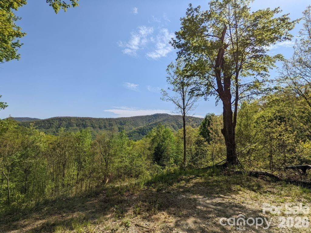 Lot at Black Mountain, photo 2 of 16