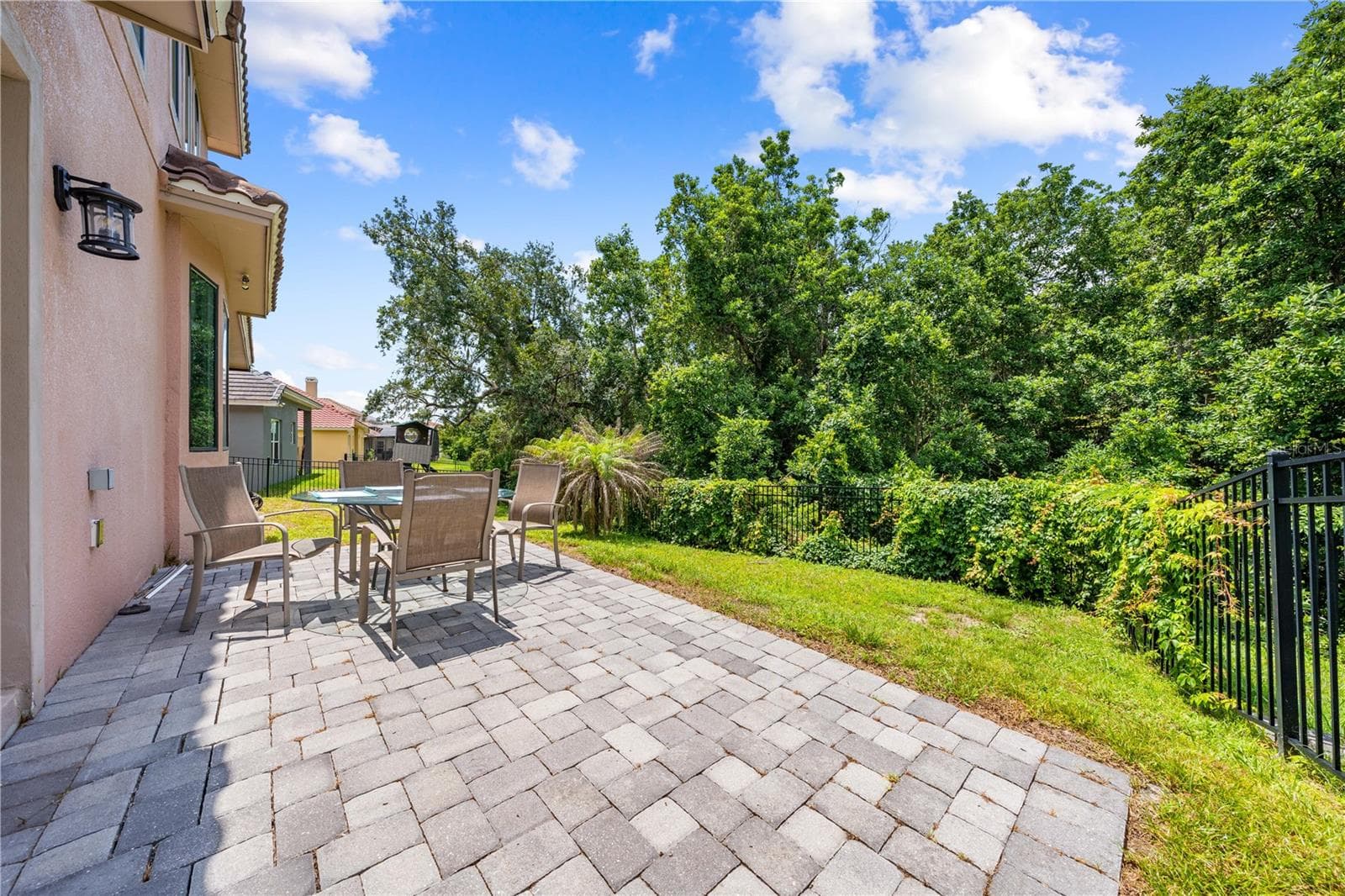 Conservation View - 2557 HERITAGE GREEN AVE, DAVENPORT