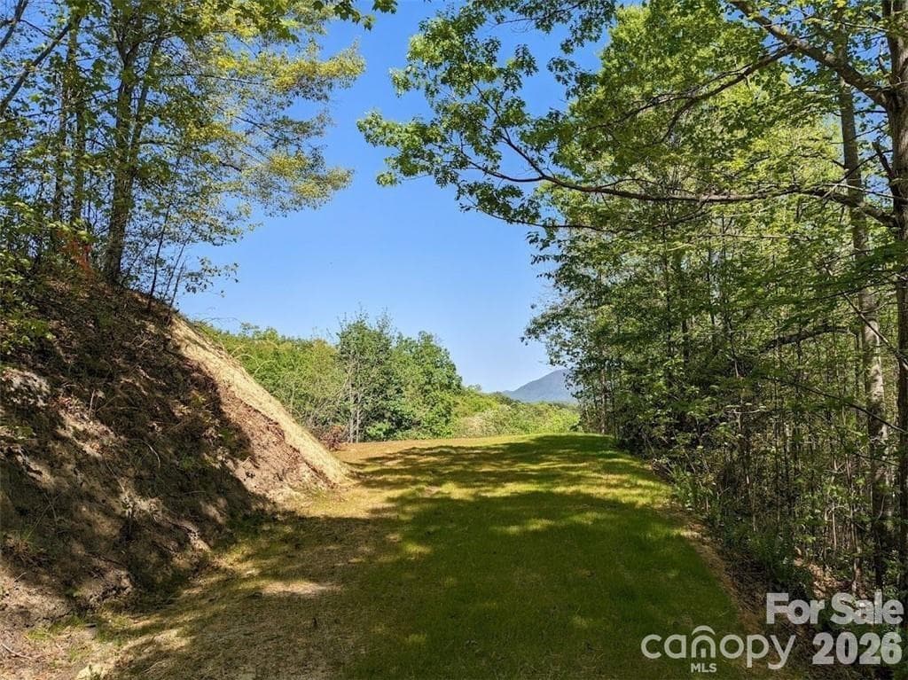 Lot at Black Mountain, photo 2 of 9
