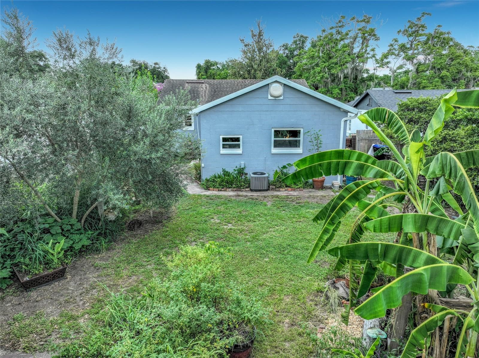Back yard - 2509 SHANNON RD, ORLANDO