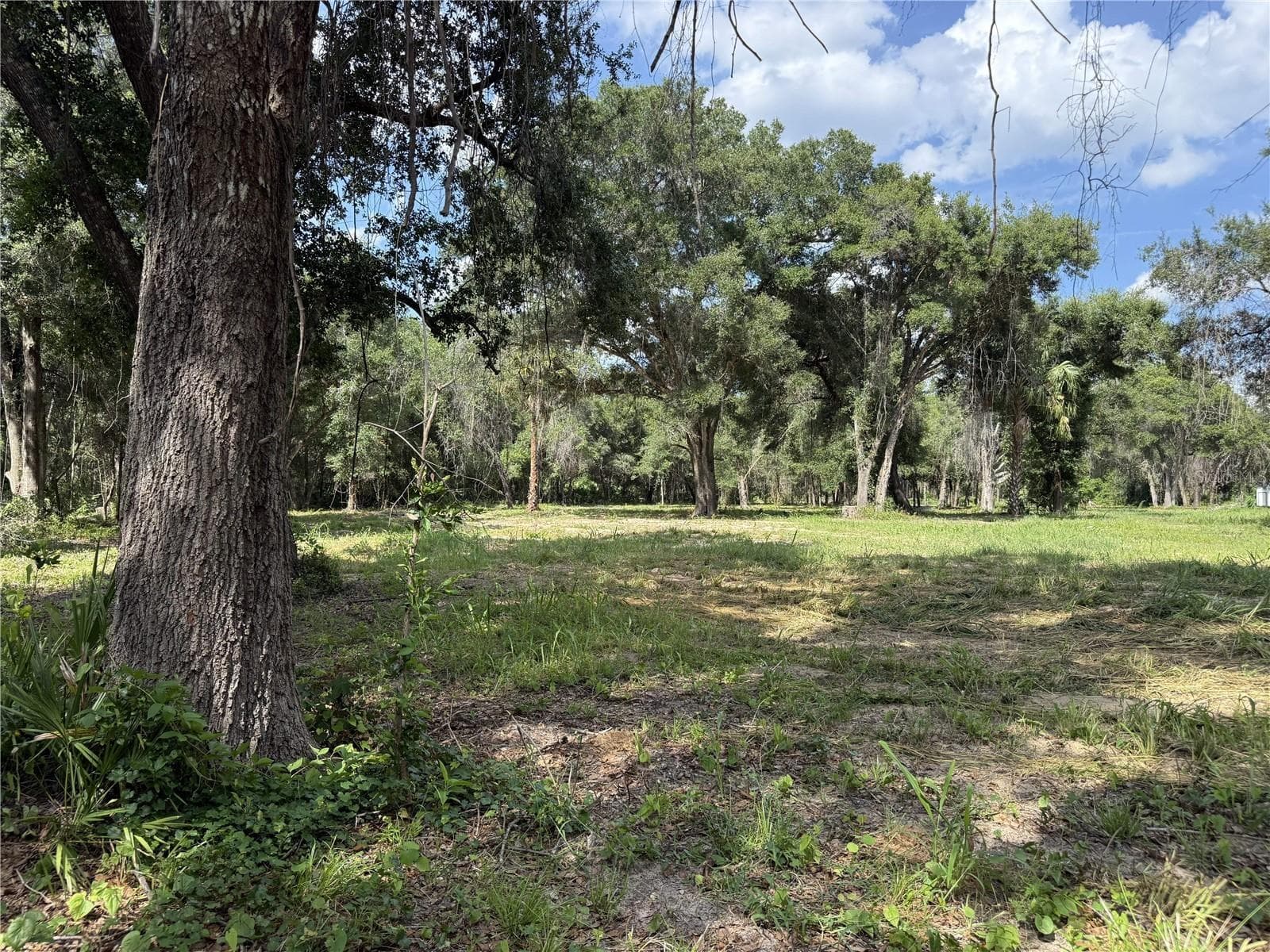 620 COCHRAN RD