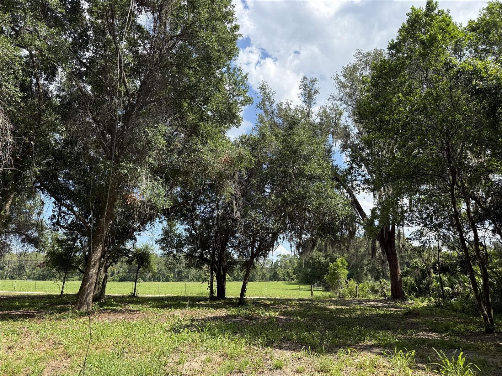 Land at 620 COCHRAN RD, GENEVA, photo 2 of 11