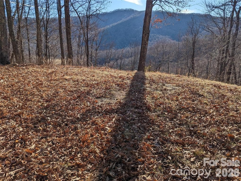 Lot at Black Mountain, photo 2 of 16