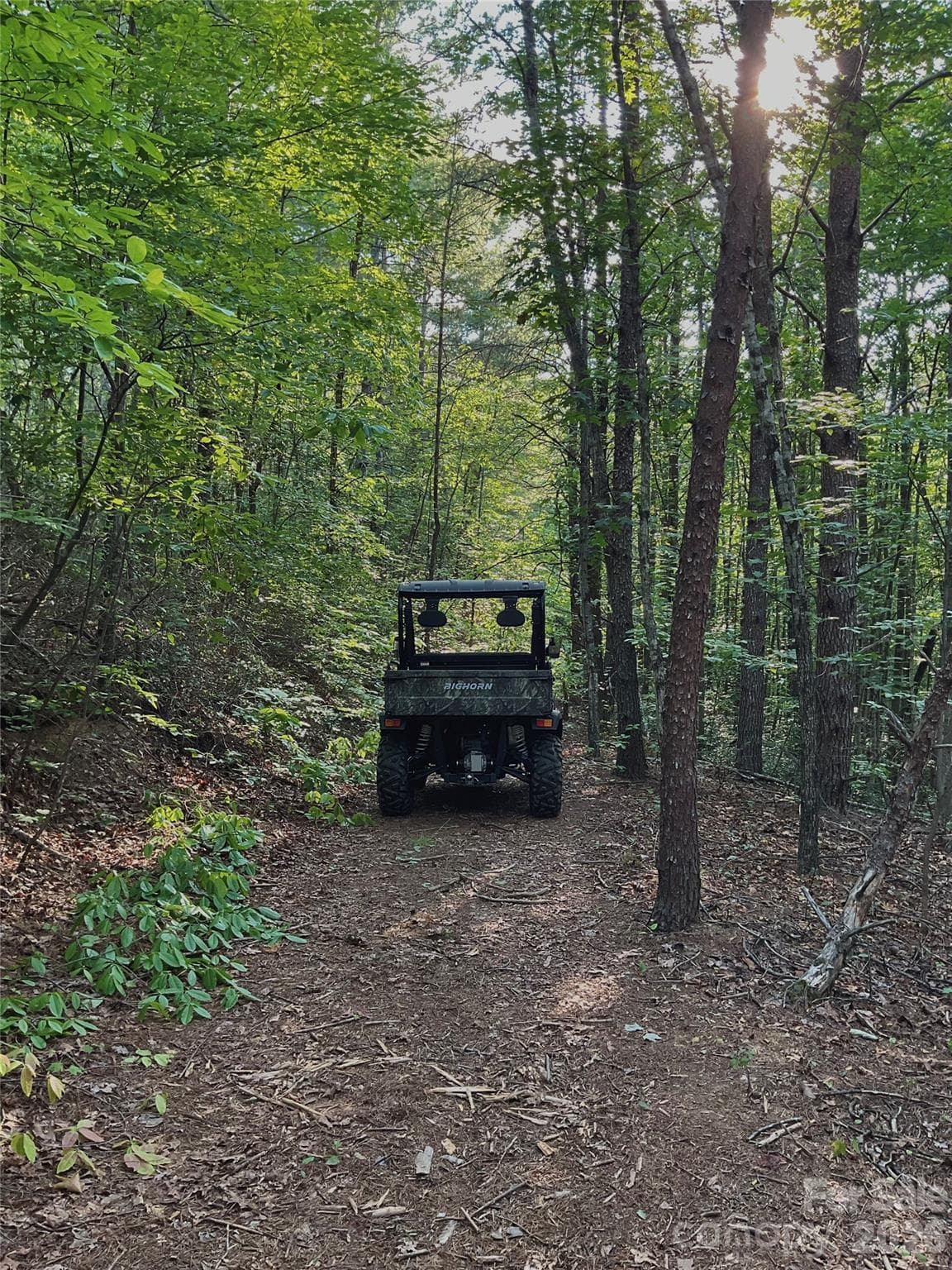 Established trails - Mill Spring