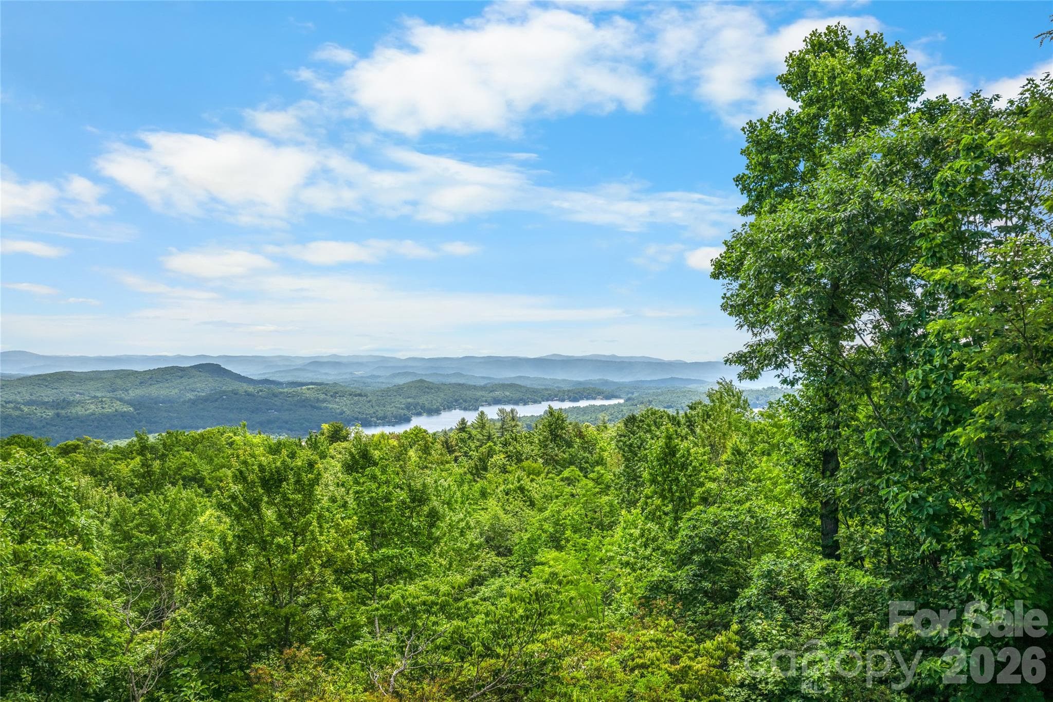 Single Family Residence at 100 Meadow Ridge Drive, Lake Toxaway, photo 29 of 48