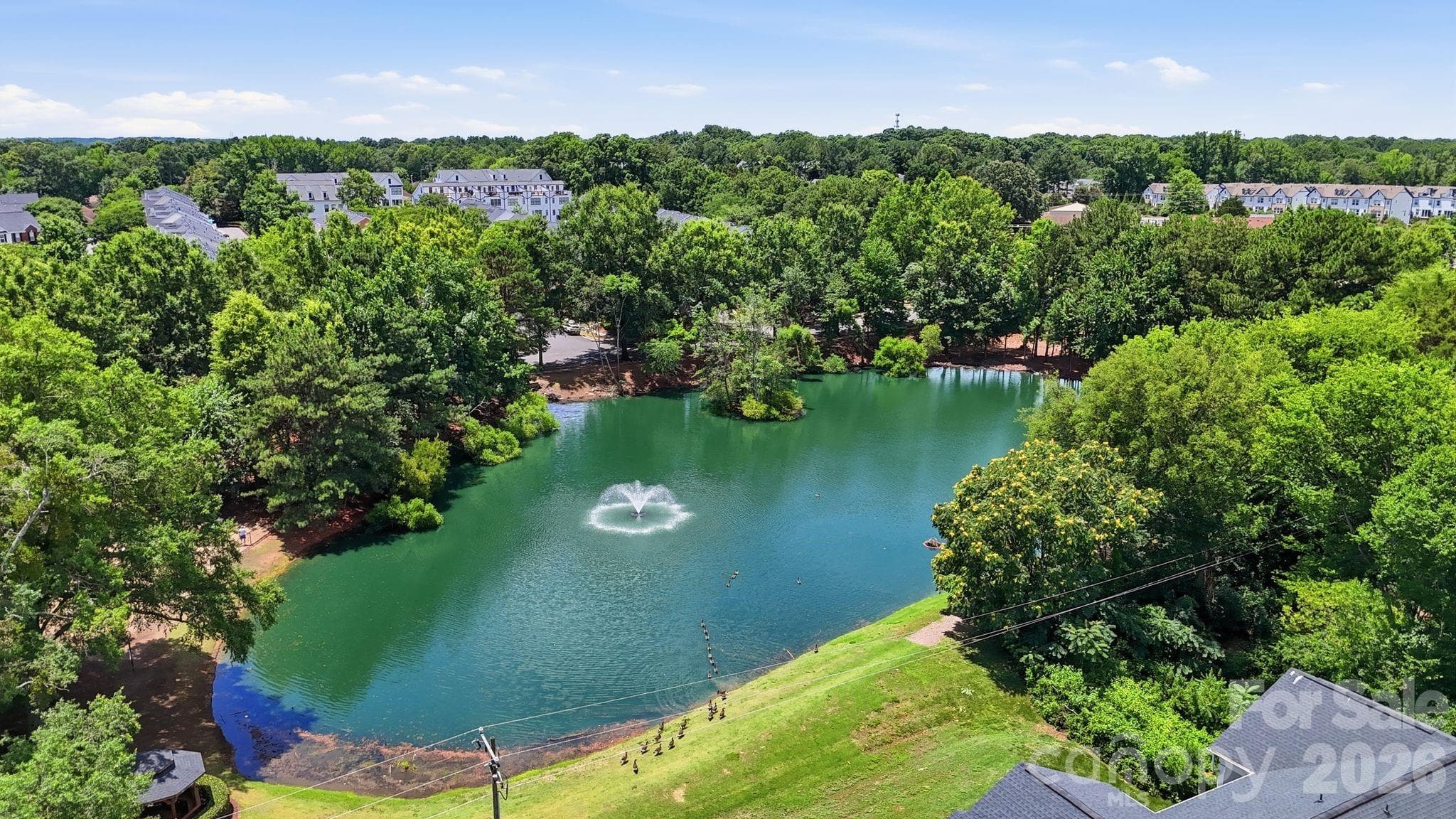 Community Pond - Charlotte