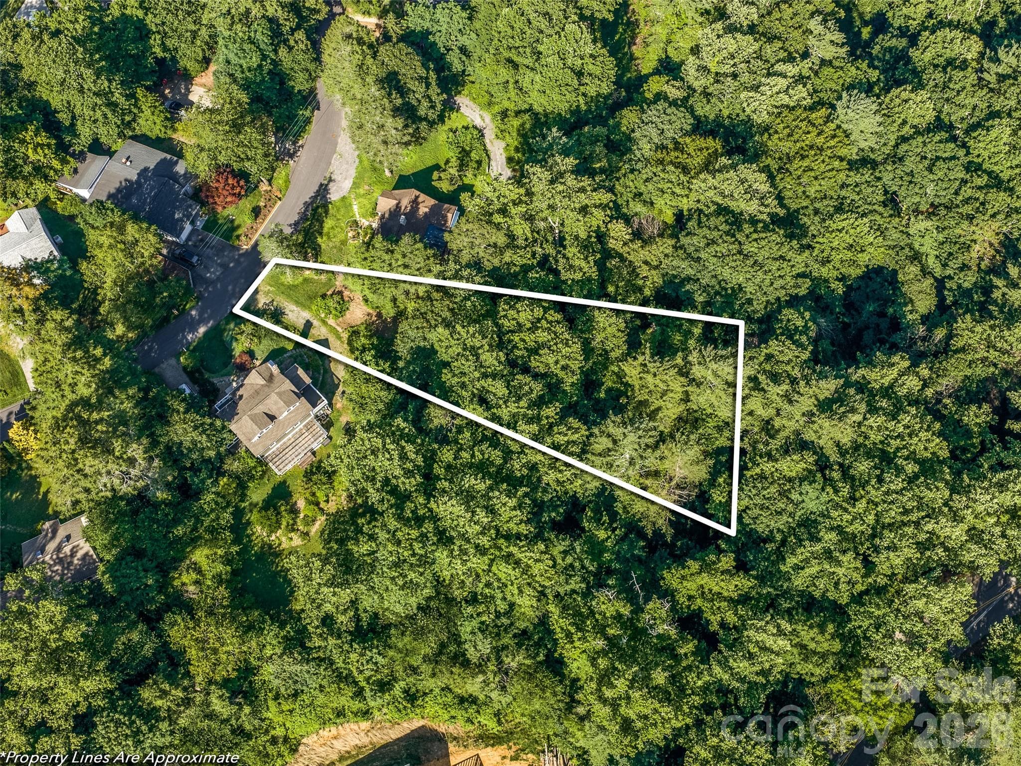 Lot at Asheville, photo 2 of 16