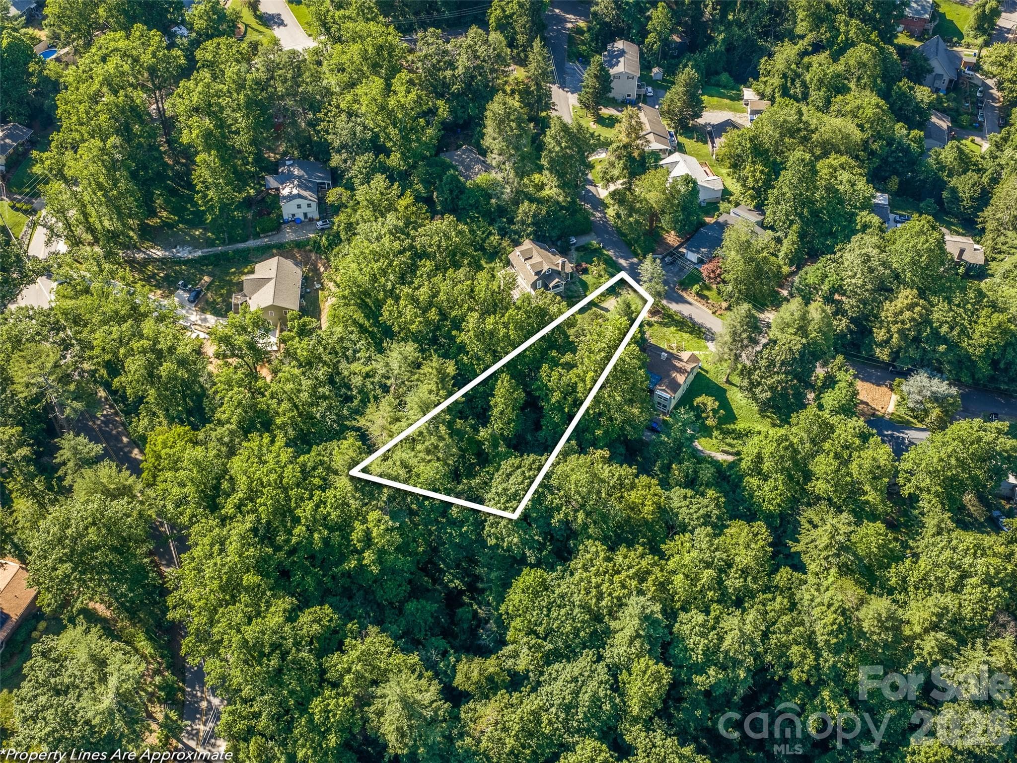 Lot at Asheville, photo 4 of 16