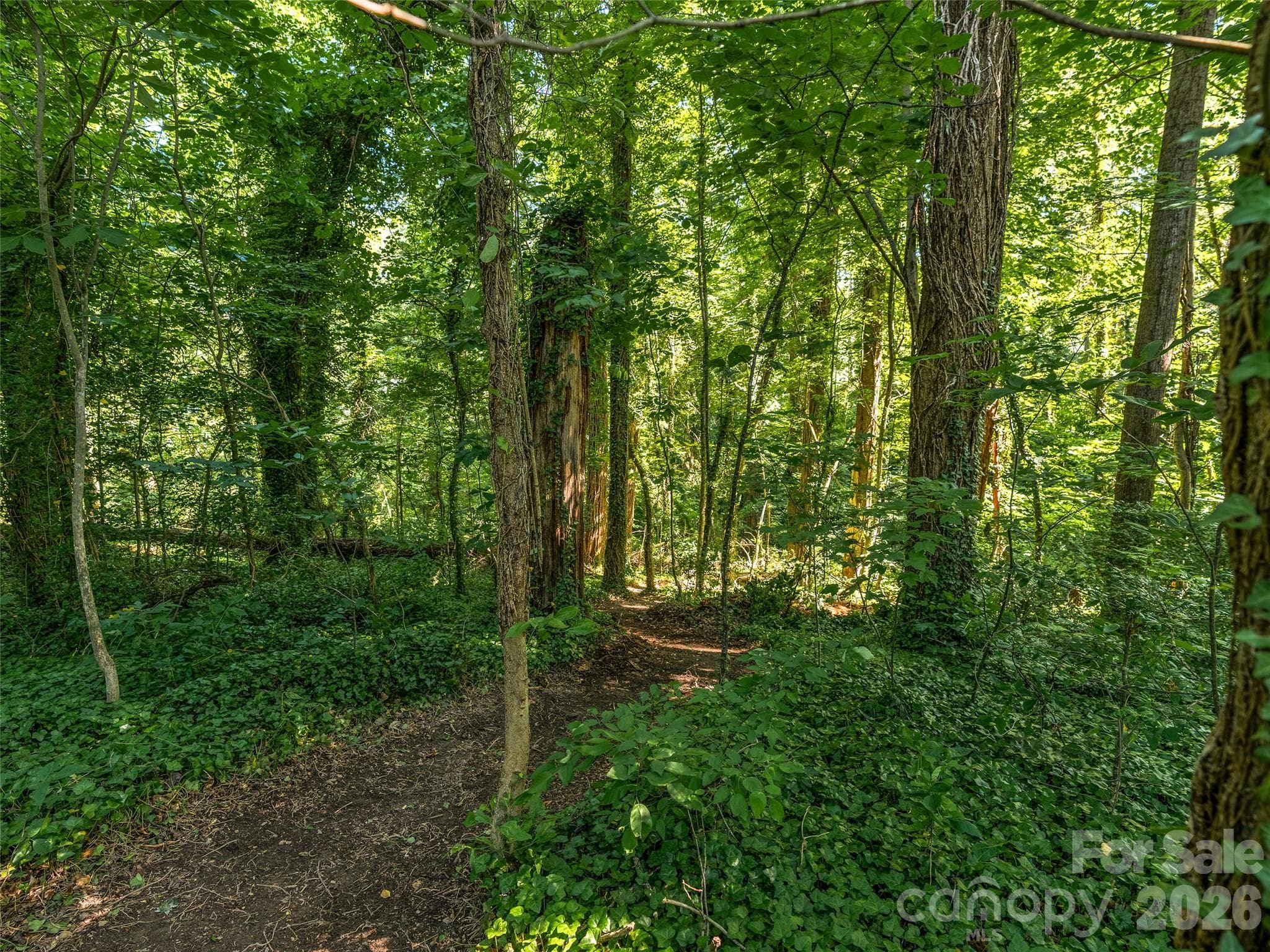 Lot at Asheville, photo 6 of 16