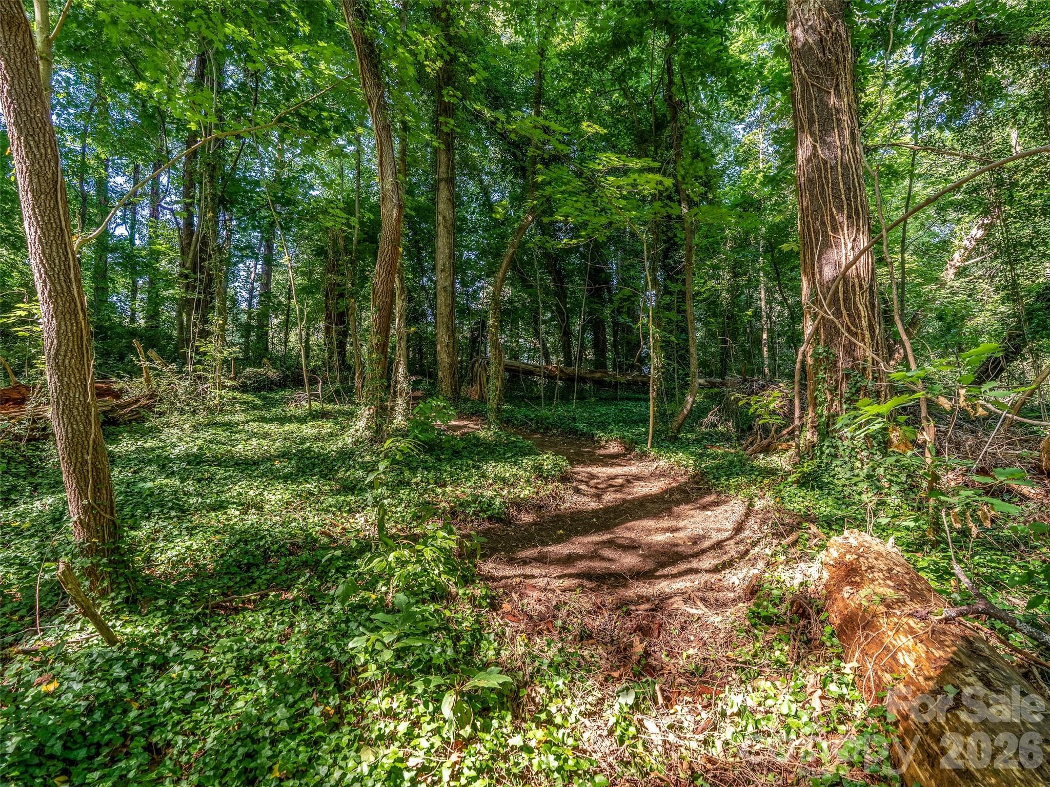 Site slopes gently to provide maximum privacy - Asheville