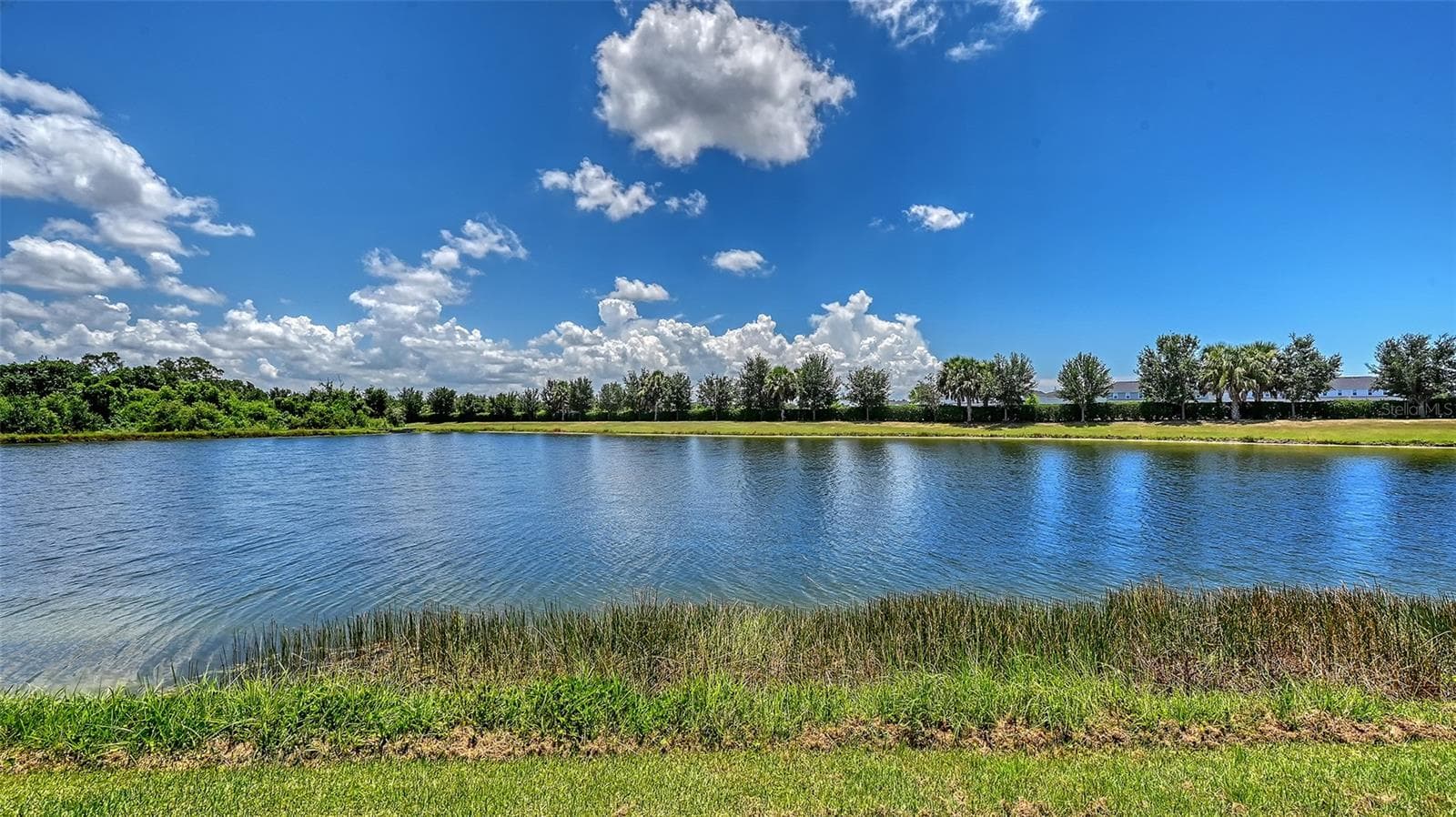 Gorgeous Lake - 12318 BLUE HILL TRL, BRADENTON