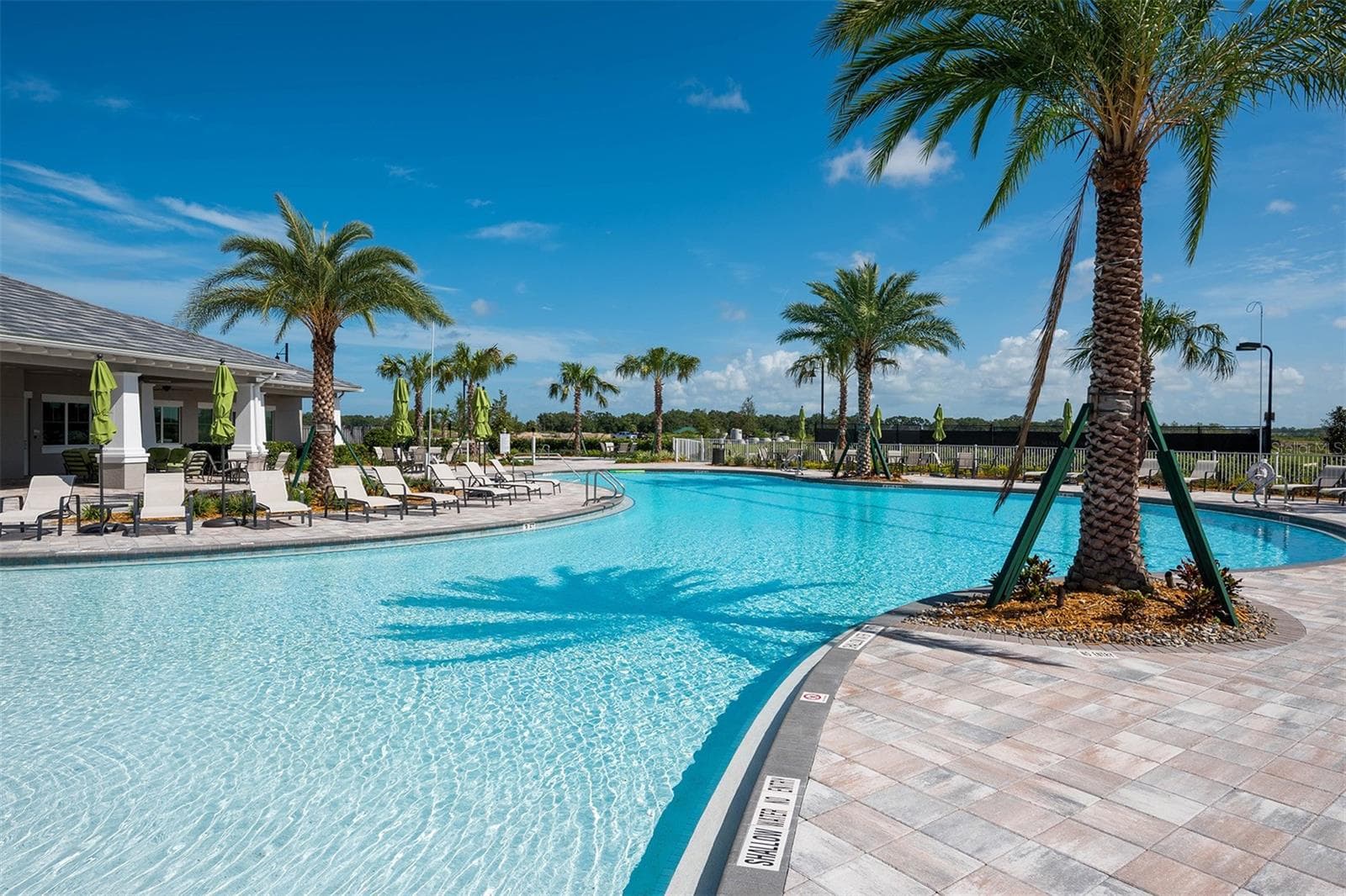 Zero Entry Pool - 12318 BLUE HILL TRL, BRADENTON