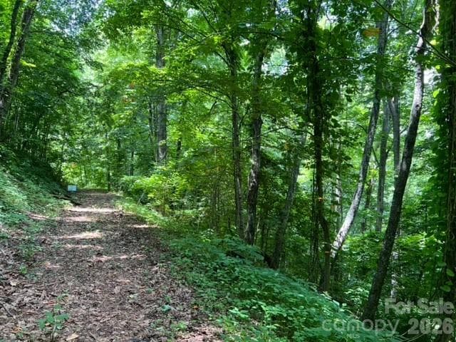 Acreage at 00 Utah Mountain Road, Waynesville, photo 4 of 5