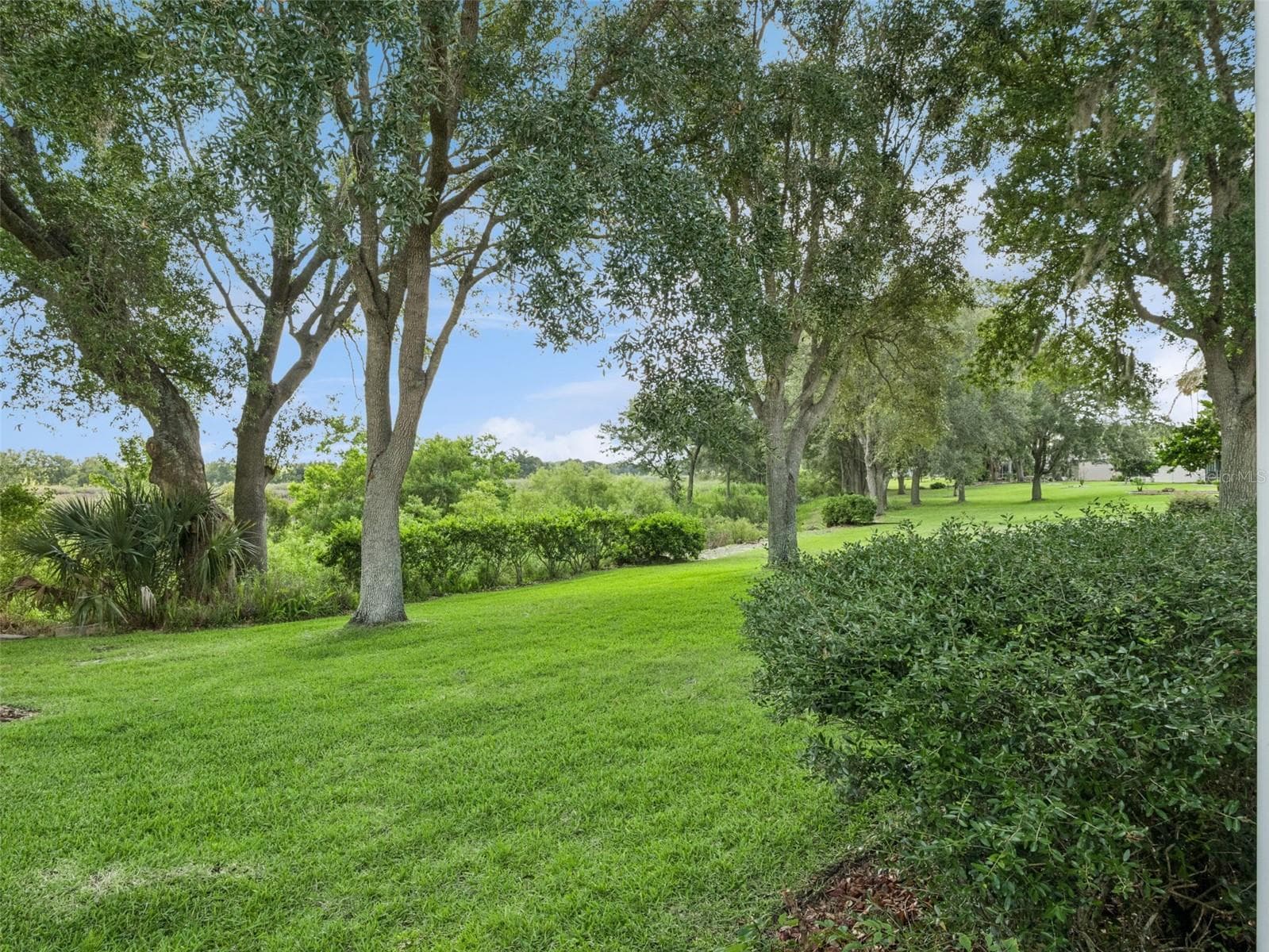 Conservation Views from the rear - 4519 INVERNESS DR, LEESBURG