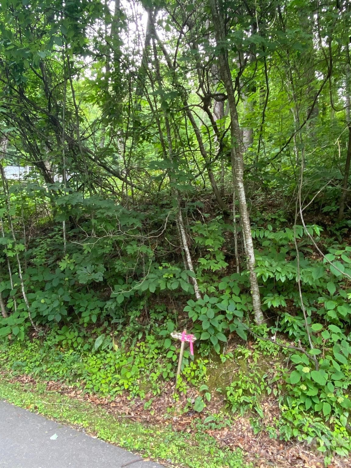 Lot at Waynesville, photo 2 of 6