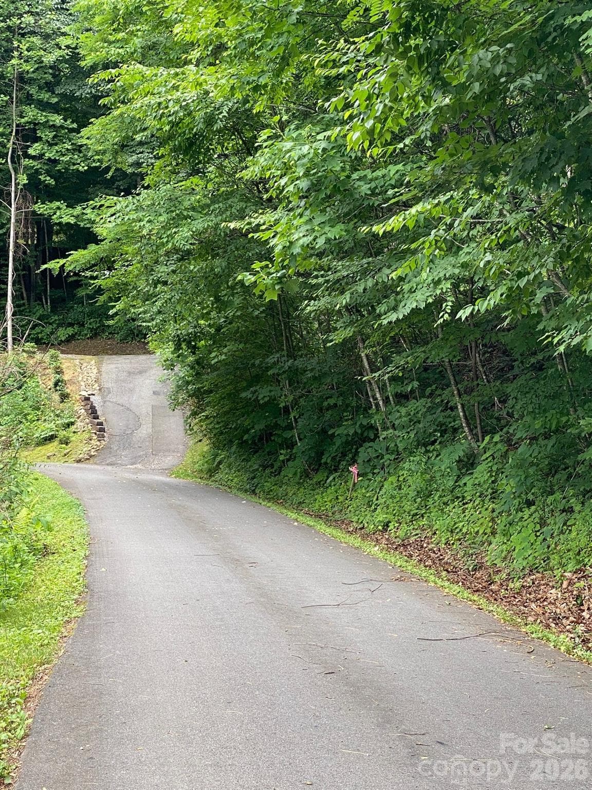 Lot at Waynesville, photo 3 of 6