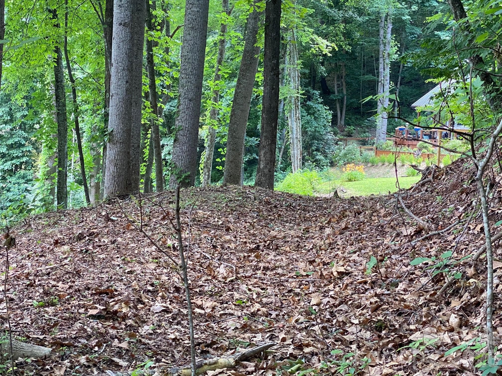 Lot at Waynesville, photo 4 of 6