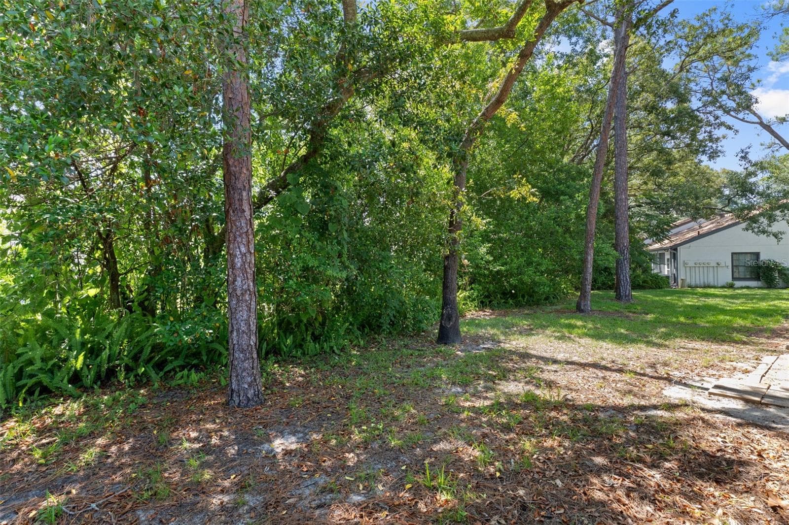 Backyard Space - 2102 FORESTER WAY, SPRING HILL