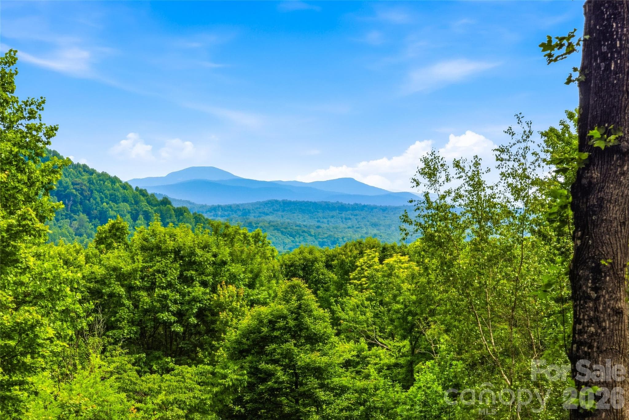 View from Living Room, - 233 Tanglewood Lane, Saluda