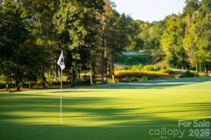 Golf Course View - 11765 Glenwood Drive, Locust
