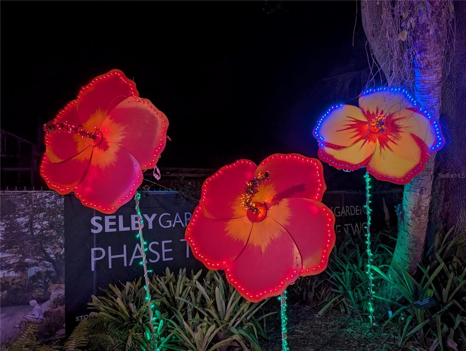Selby Botanical Gardens is a must see, buy an annual pass to enjoy many annual events. - 2008 CANAL DR #M3, BRADENTON