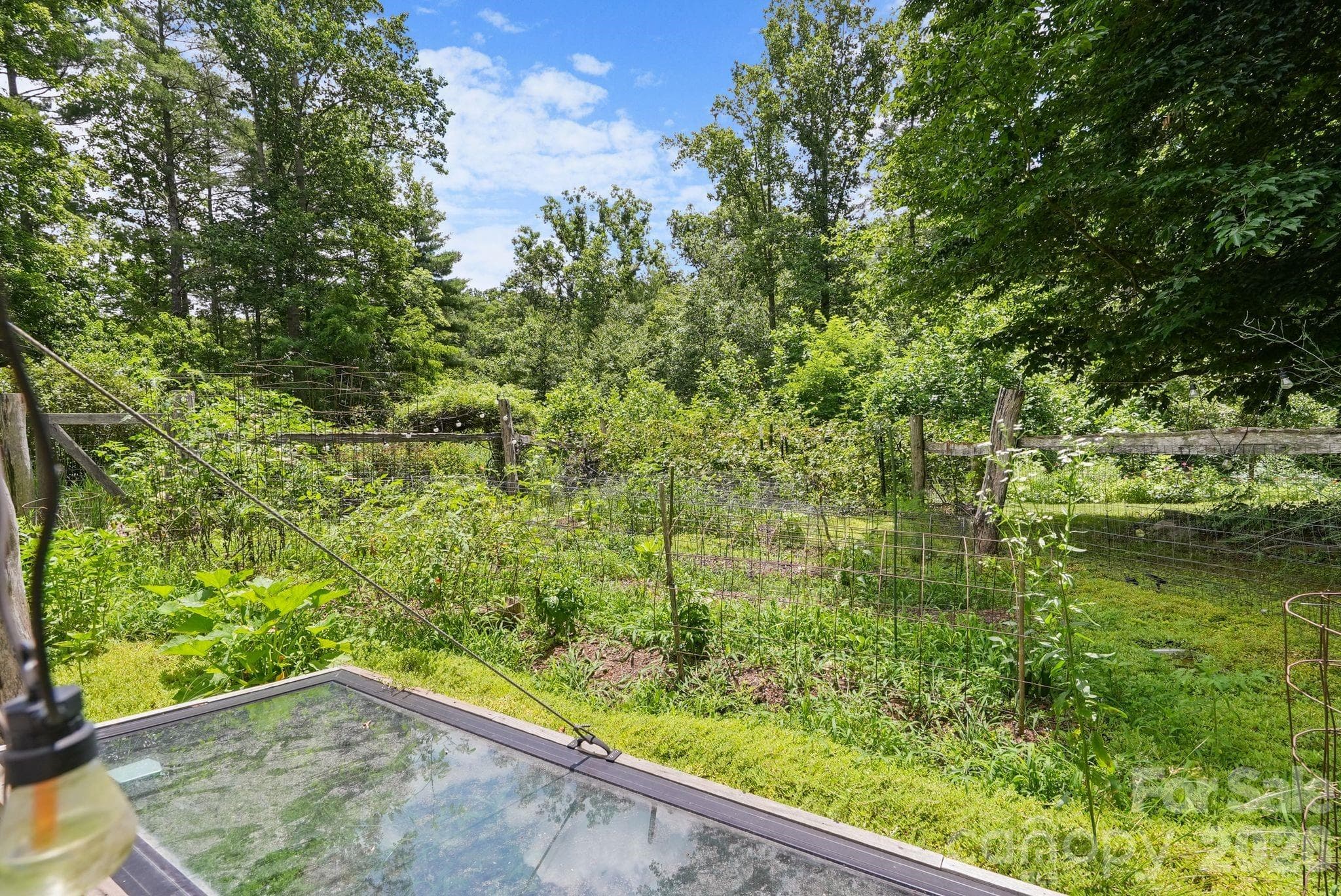 organic gardens - 24 Merriwood Trail, Arden