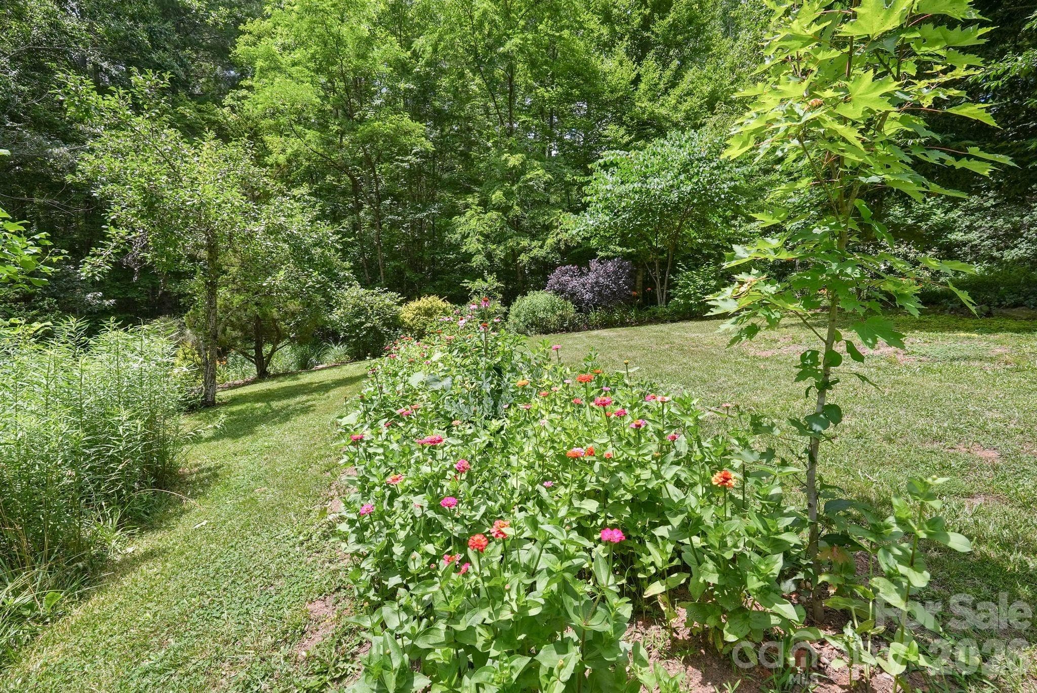 mature landscaping - 24 Merriwood Trail, Arden
