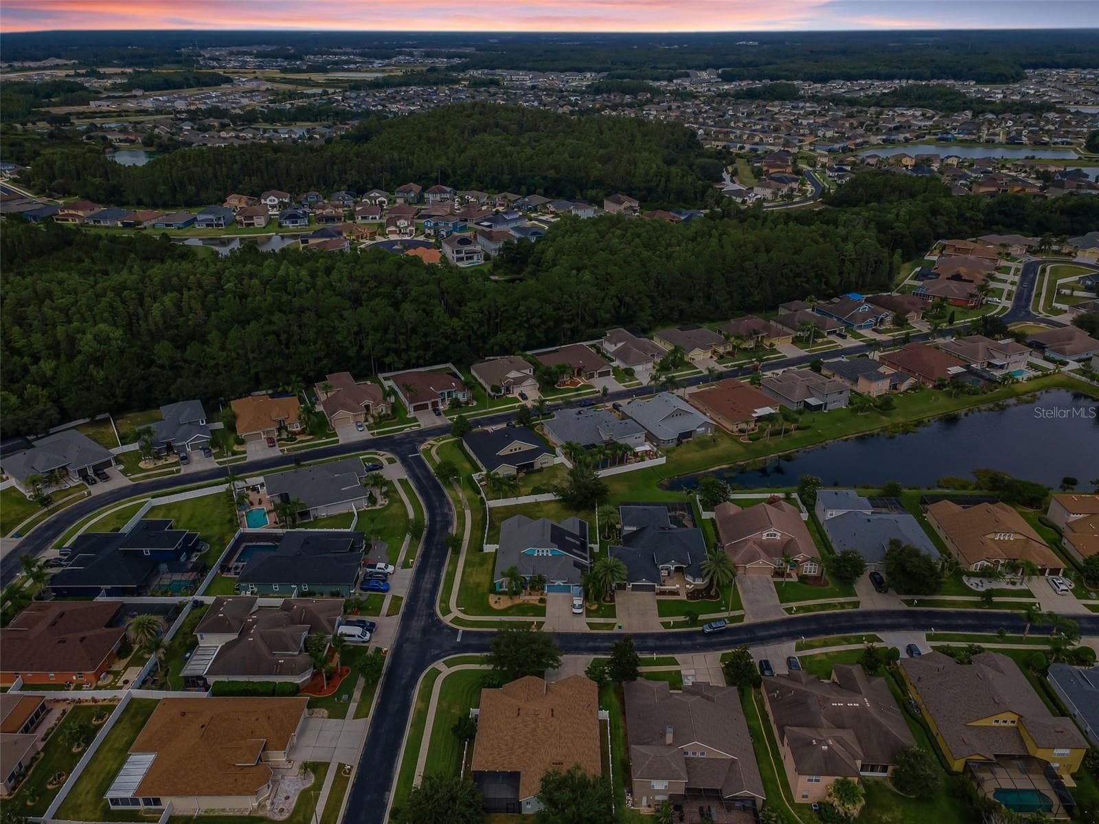 An amazing Cummunity! - 1629 SALMONBERRY ST, WESLEY CHAPEL