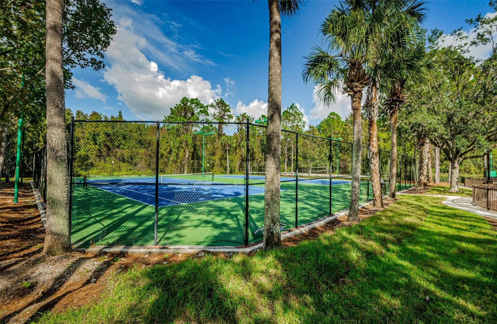 Single Family Residence at 1629 SALMONBERRY ST, WESLEY CHAPEL, photo 63 of 71
