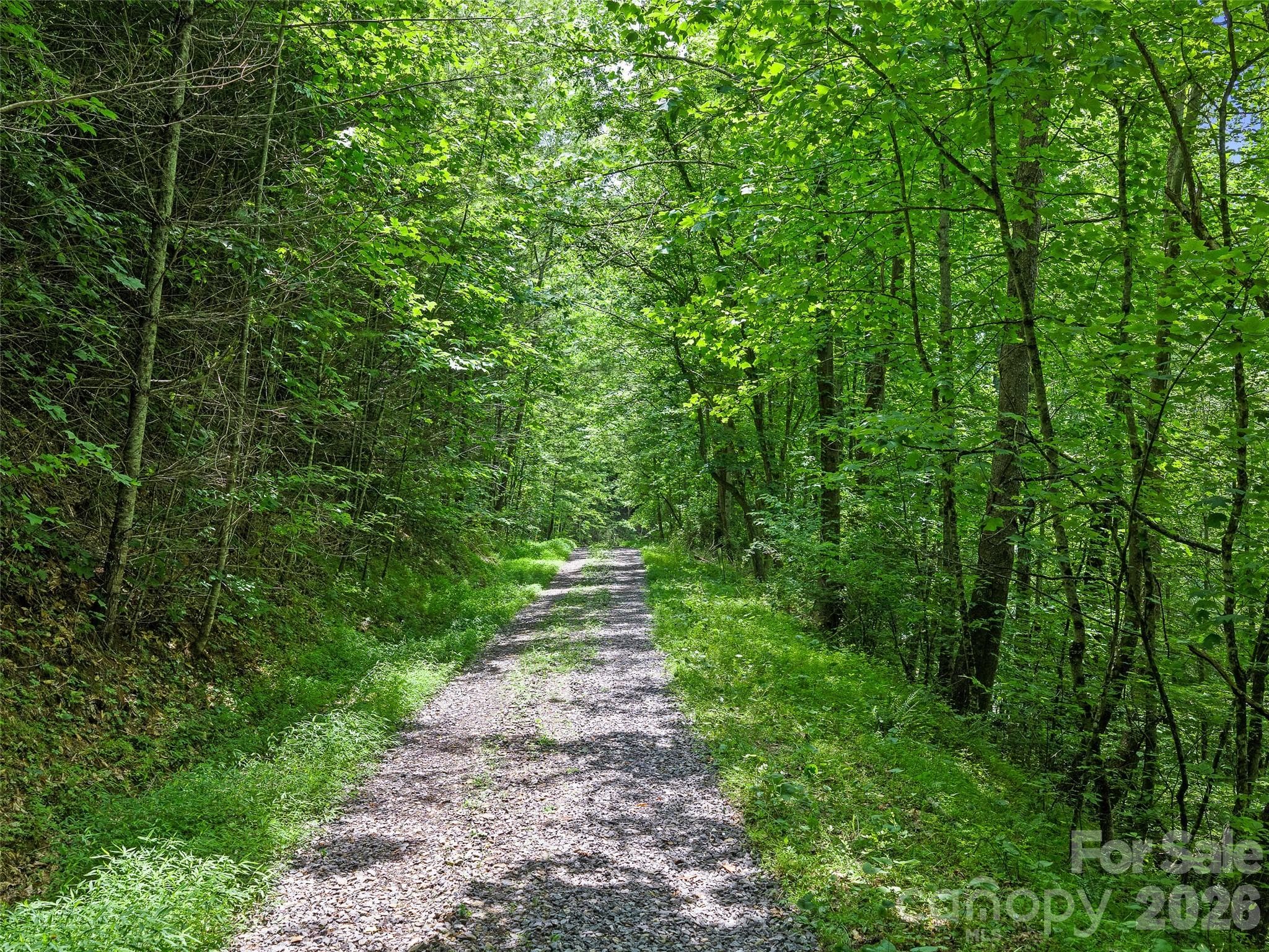Well maintained community road - Burnsville
