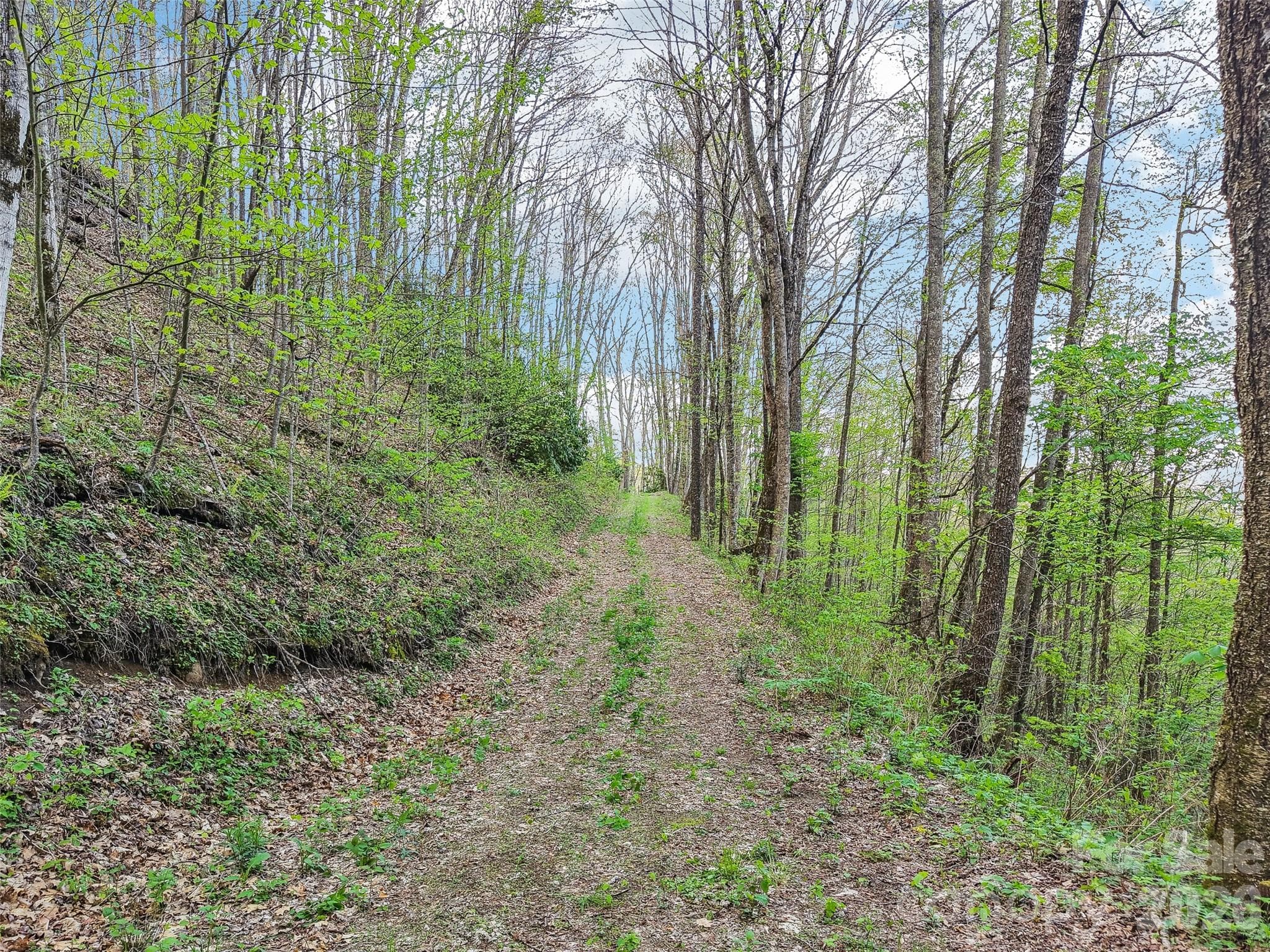 Acreage at Waynesville, photo 2 of 10