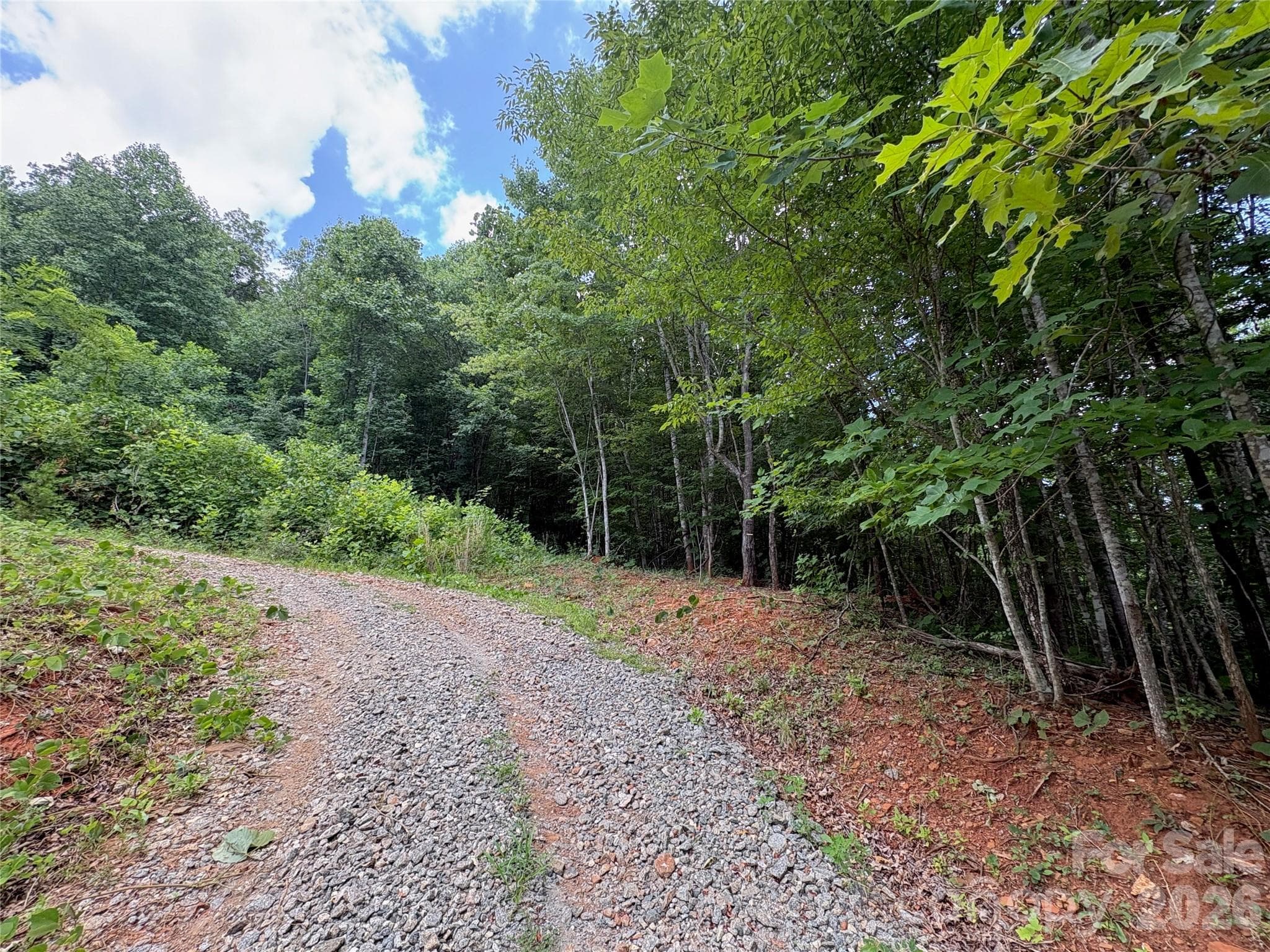 Lot at Lake Lure, photo 4 of 7