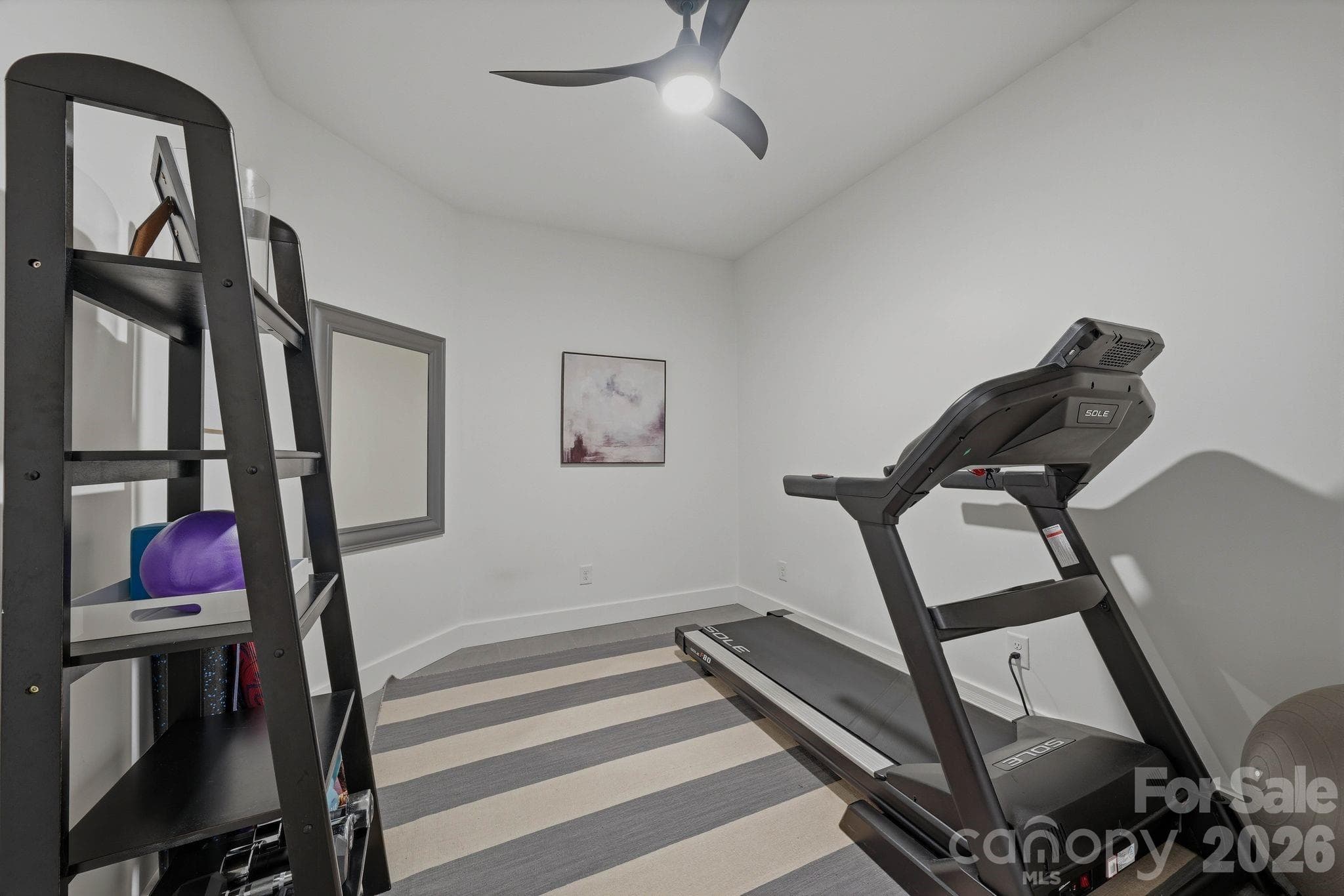 Basement Gym - 16525 Forest Home Road, Charlotte